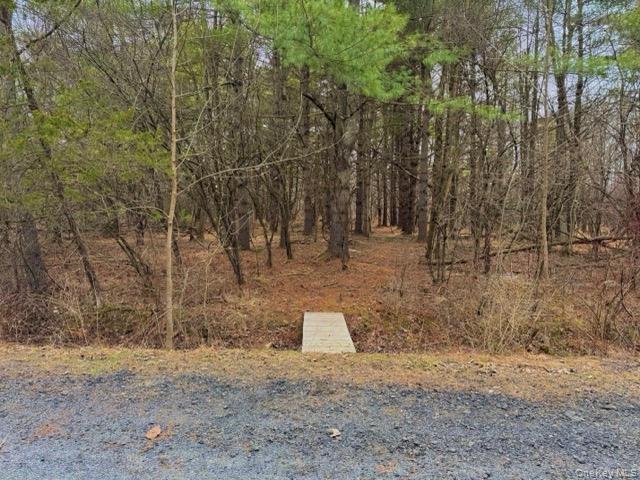 #14 photo, 34 Ichabod Crane Circle, Coxsackie , NY 12051