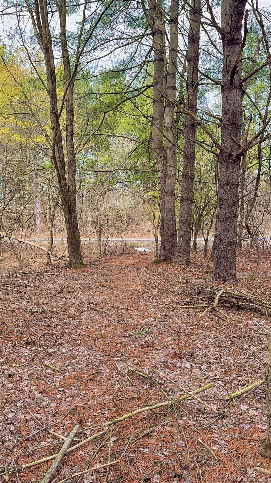 #15 photo, 34 Ichabod Crane Circle, Coxsackie , NY 12051