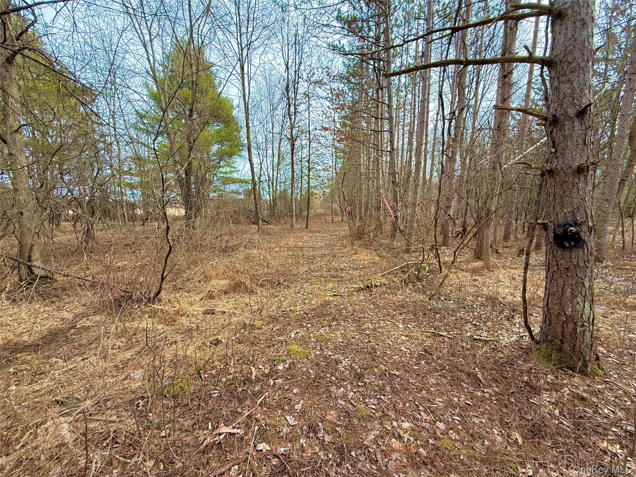 #16 photo, 34 Ichabod Crane Circle, Coxsackie , NY 12051