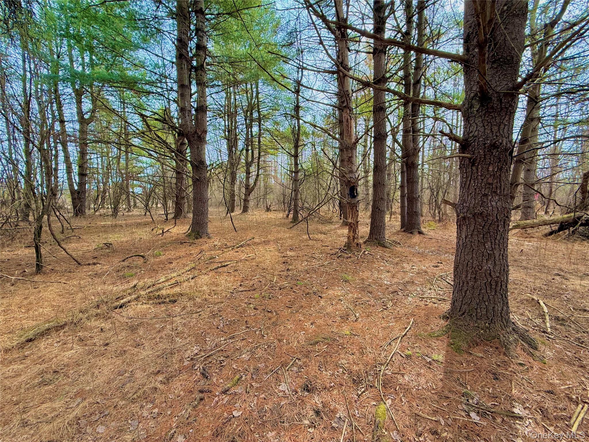 #18 photo, 34 Ichabod Crane Circle, Coxsackie , NY 12051