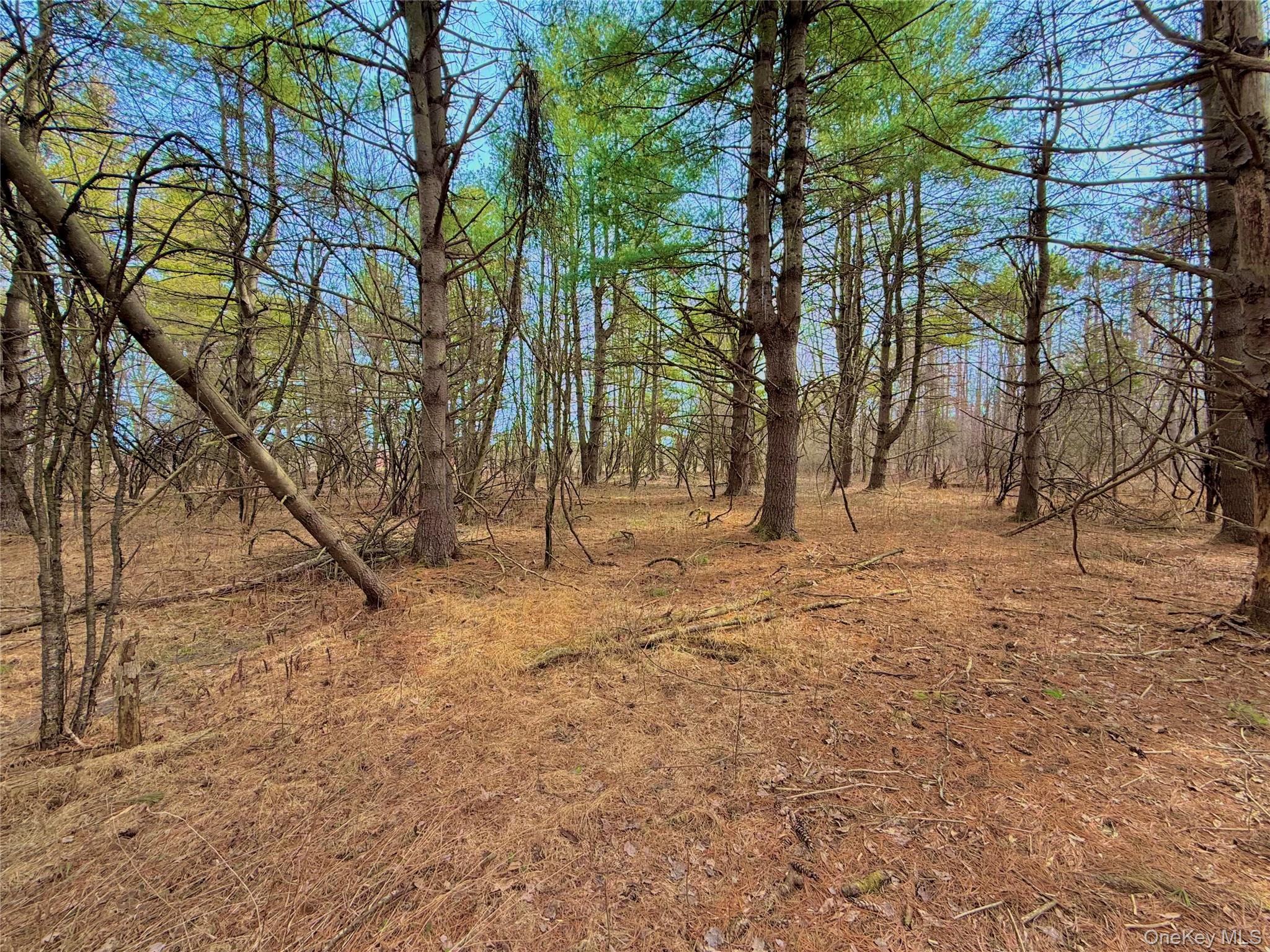 #19 photo, 34 Ichabod Crane Circle, Coxsackie , NY 12051