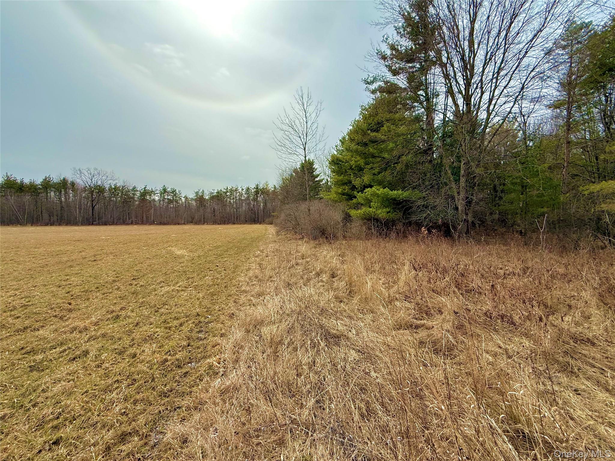 #20 photo, 34 Ichabod Crane Circle, Coxsackie , NY 12051