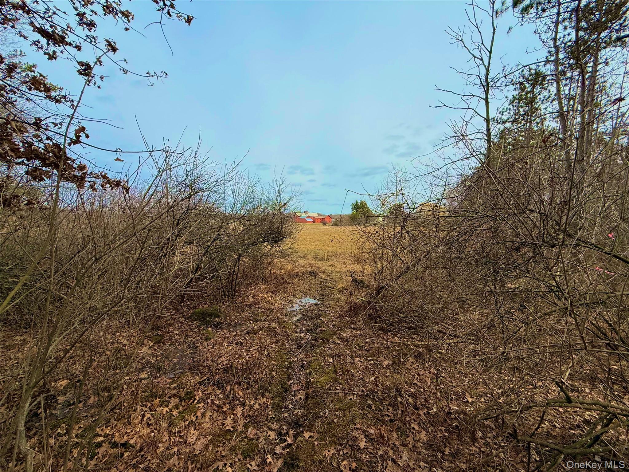 #6 photo, 34 Ichabod Crane Circle, Coxsackie , NY 12051