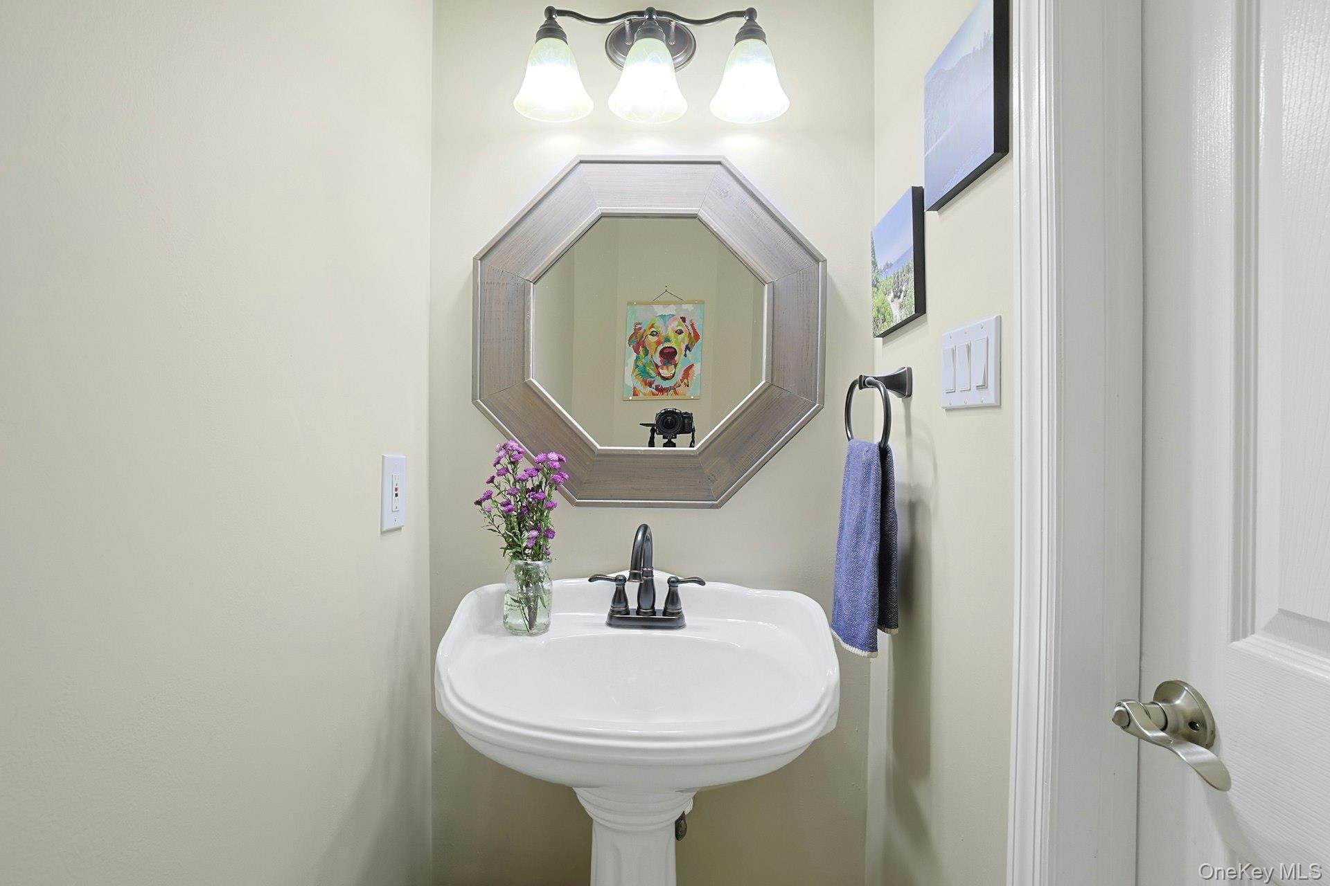 #13 photo, 44 Alexander Court, Nanuet , NY 10954