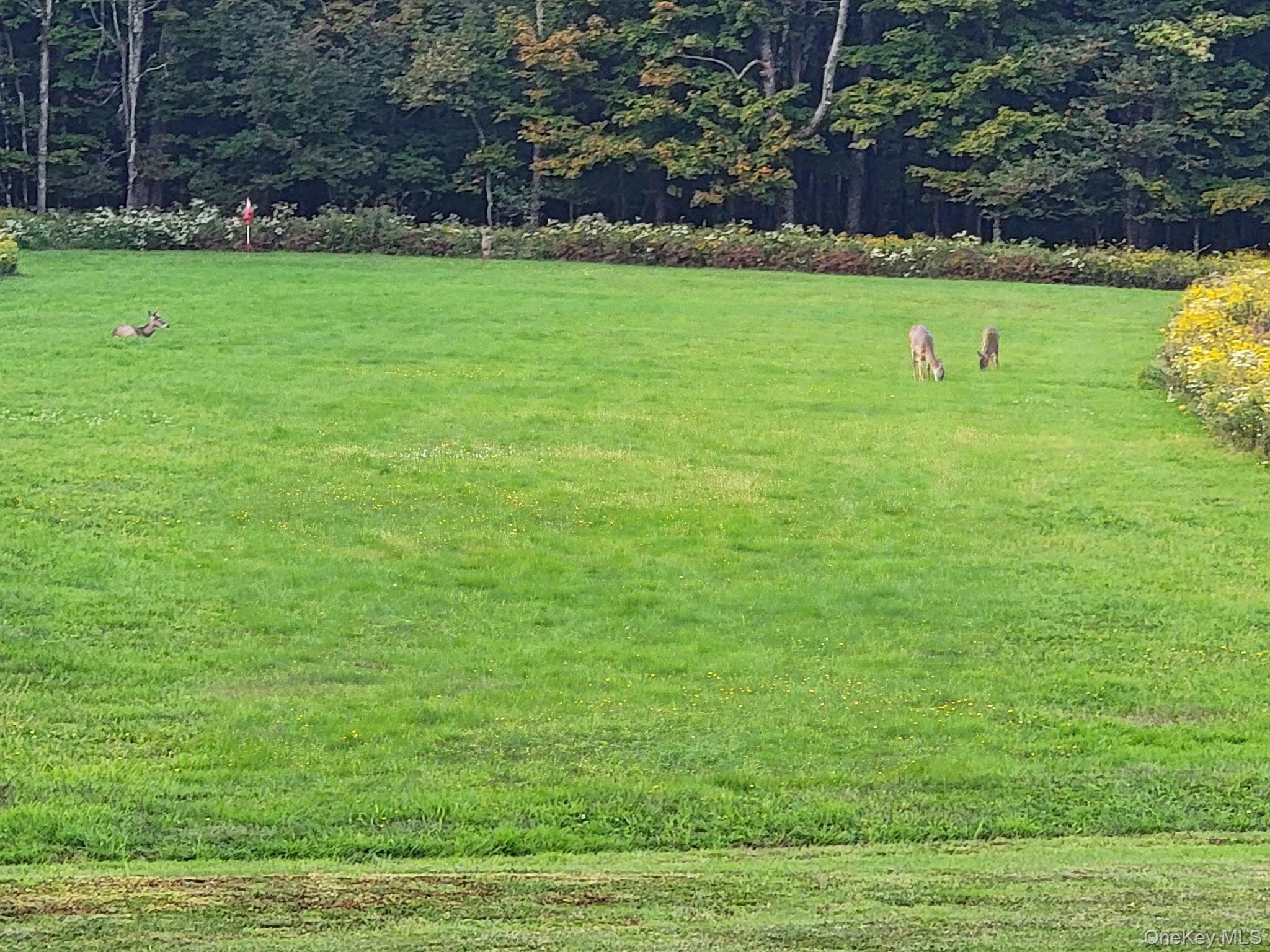 #16 photo, 27 Beech Lane, Liberty , NY 12754