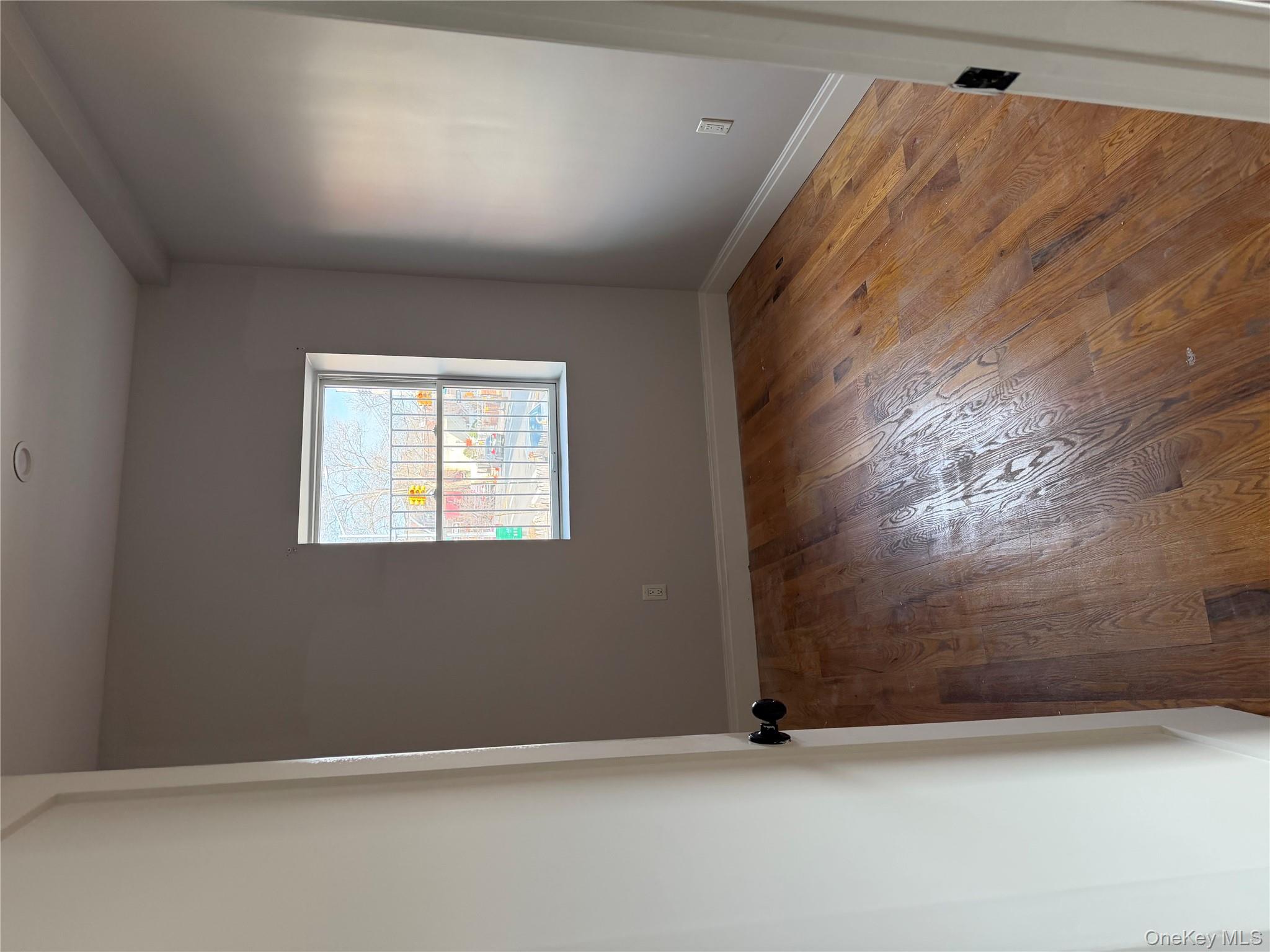 #3 photo, 91 E 54th Street, ব্রুকলিন Brooklyn , NY 11203