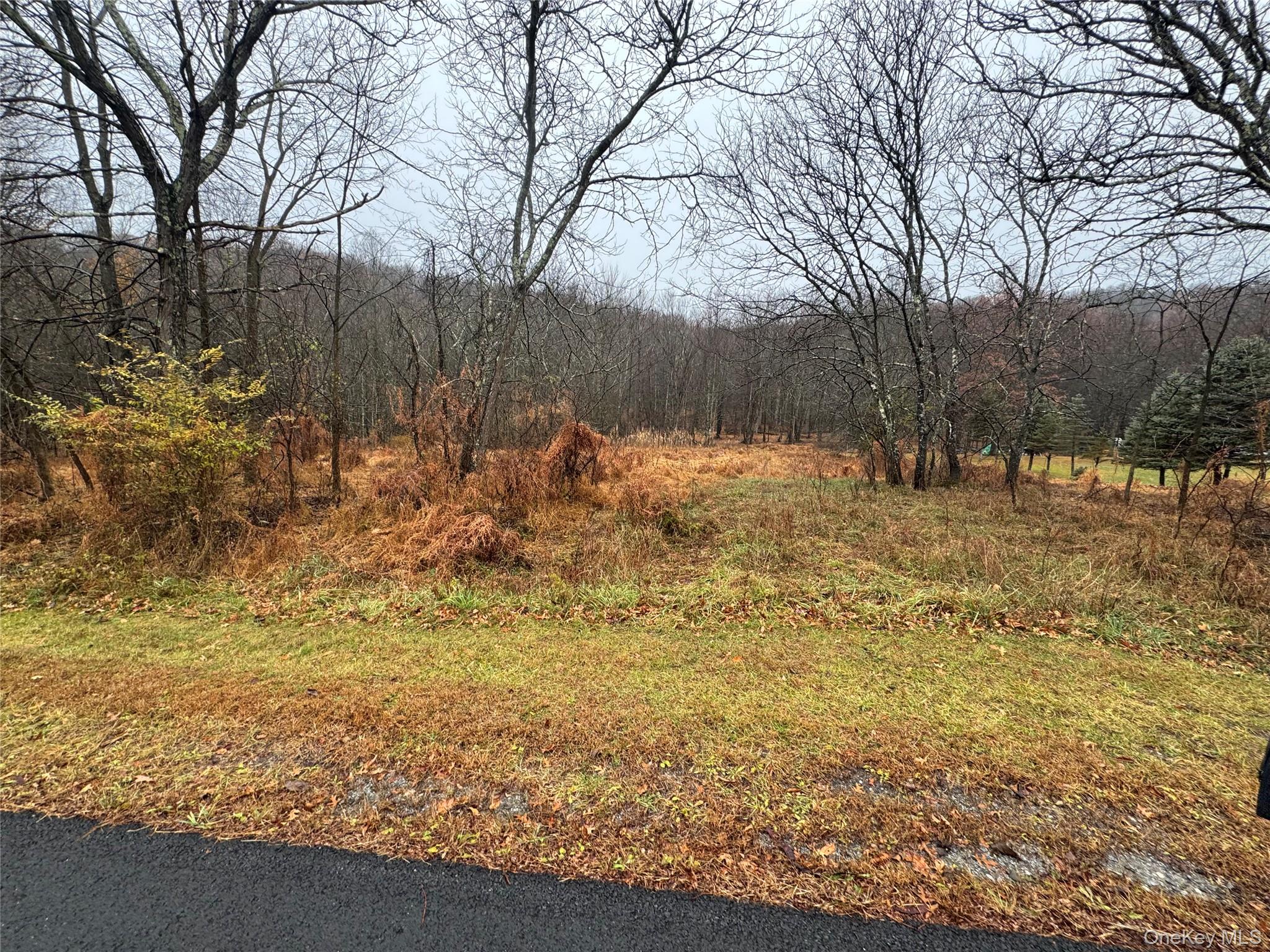 #1 photo, 41 Enright Lane, Montgomery , NY 12549
