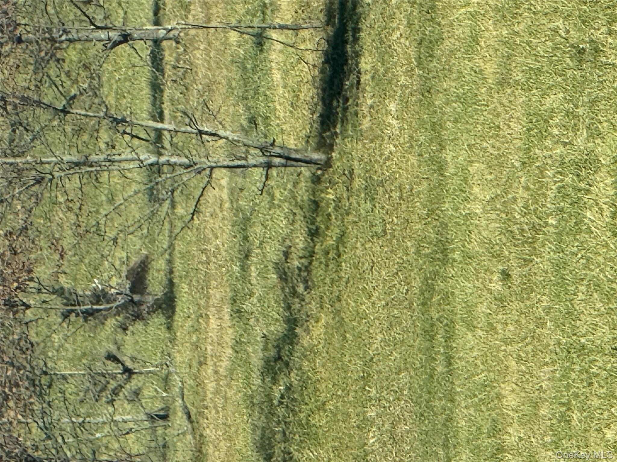 #2 photo, 41 Enright Lane, Montgomery , NY 12549