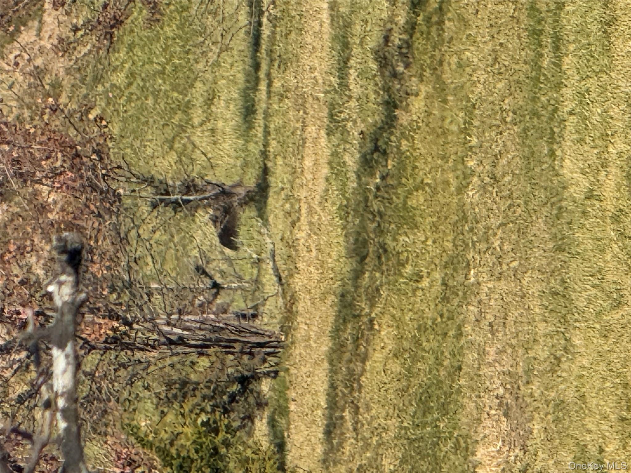 #3 photo, 41 Enright Lane, Montgomery , NY 12549