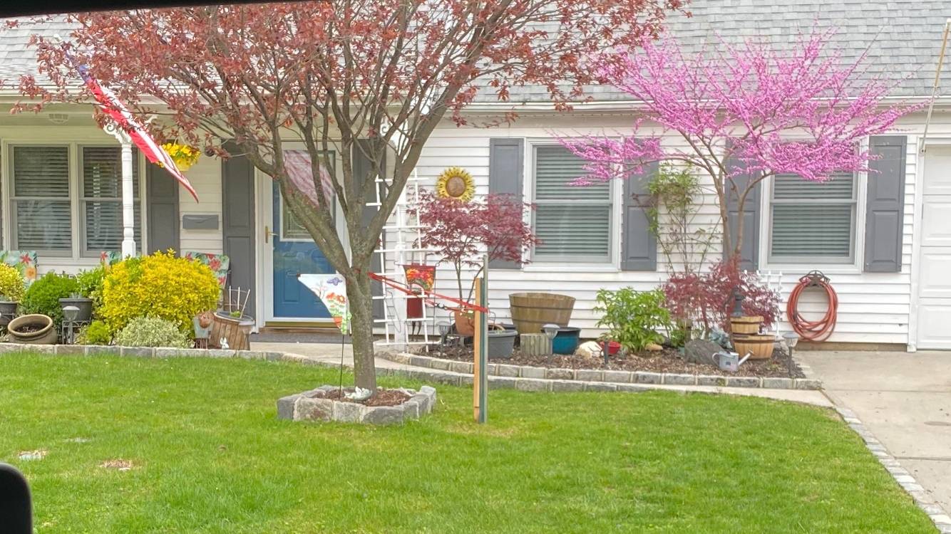 #36 photo, 287 Jamaica Boulevard, नासाउ काउंटी Carle Place , NY 11514