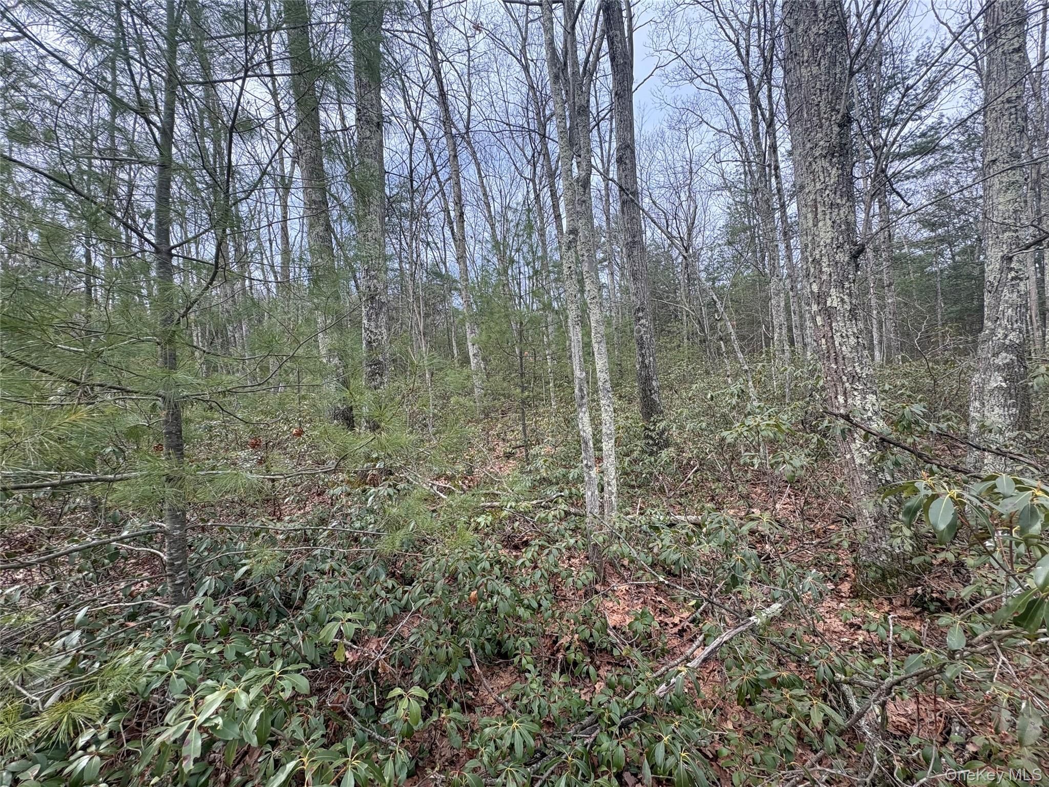 #1 photo, Bennett Road, Napanoch , NY 12458