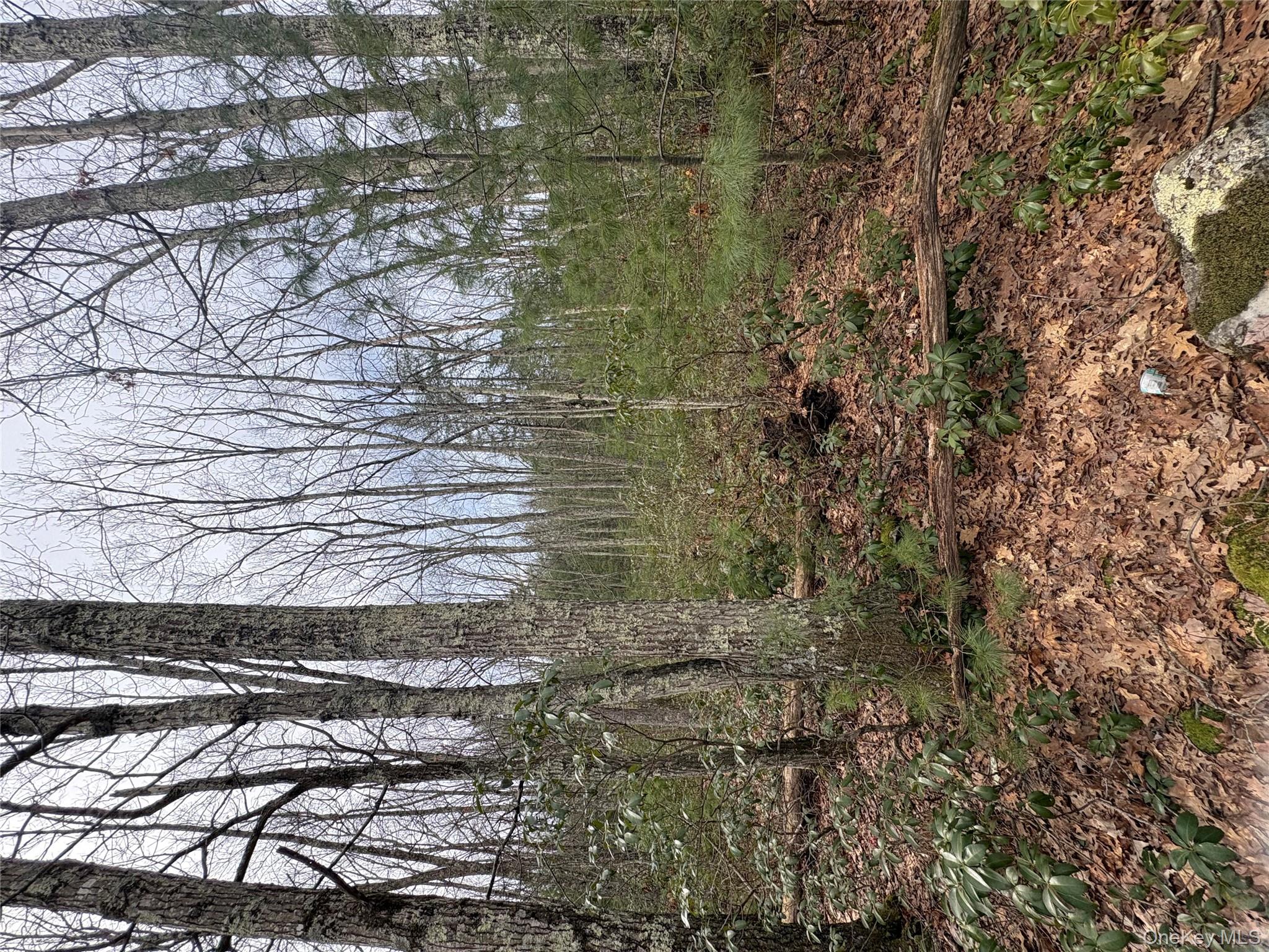 #2 photo, Bennett Road, Napanoch , NY 12458