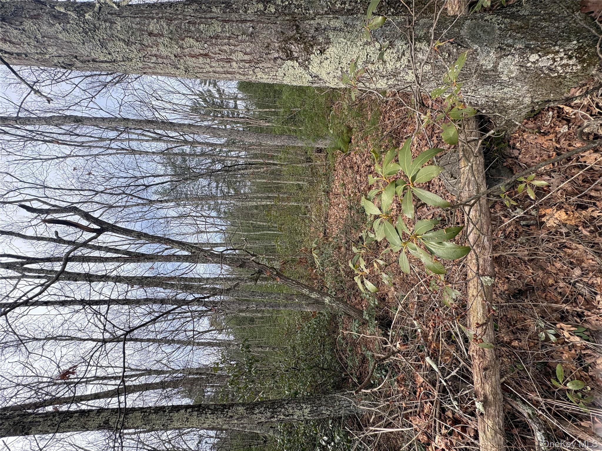 #3 photo, Bennett Road, Napanoch , NY 12458