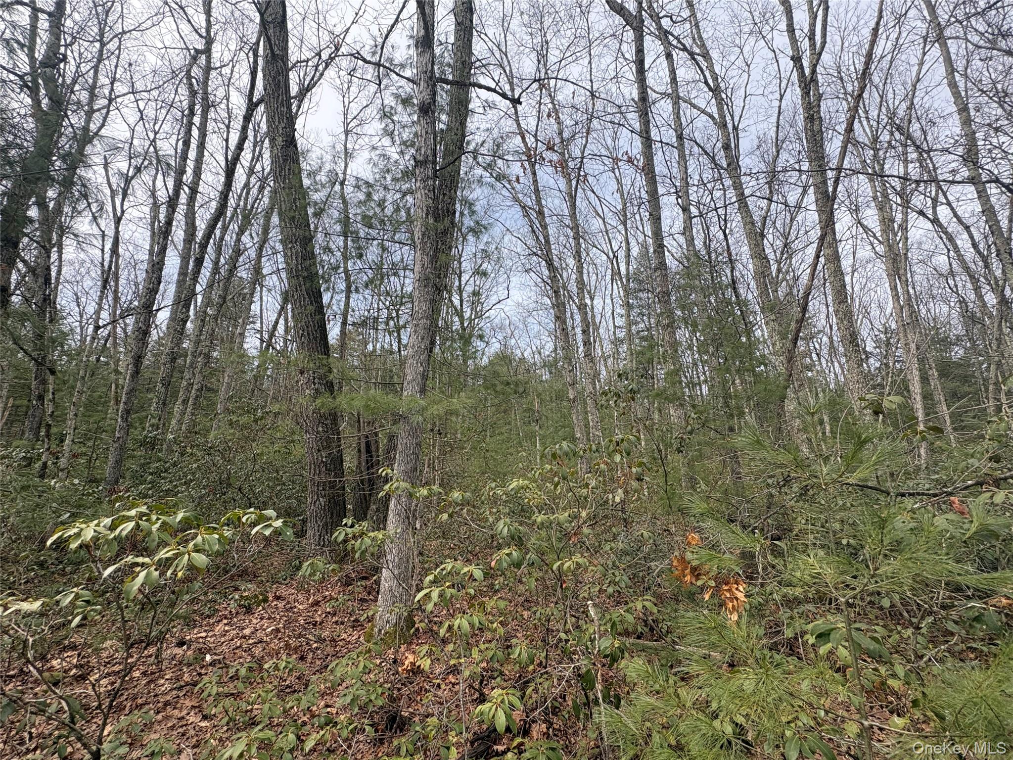 #4 photo, Bennett Road, Napanoch , NY 12458