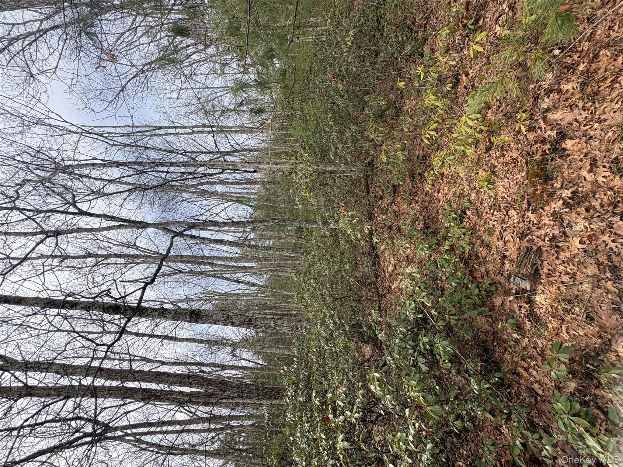 #5 photo, Bennett Road, Napanoch , NY 12458