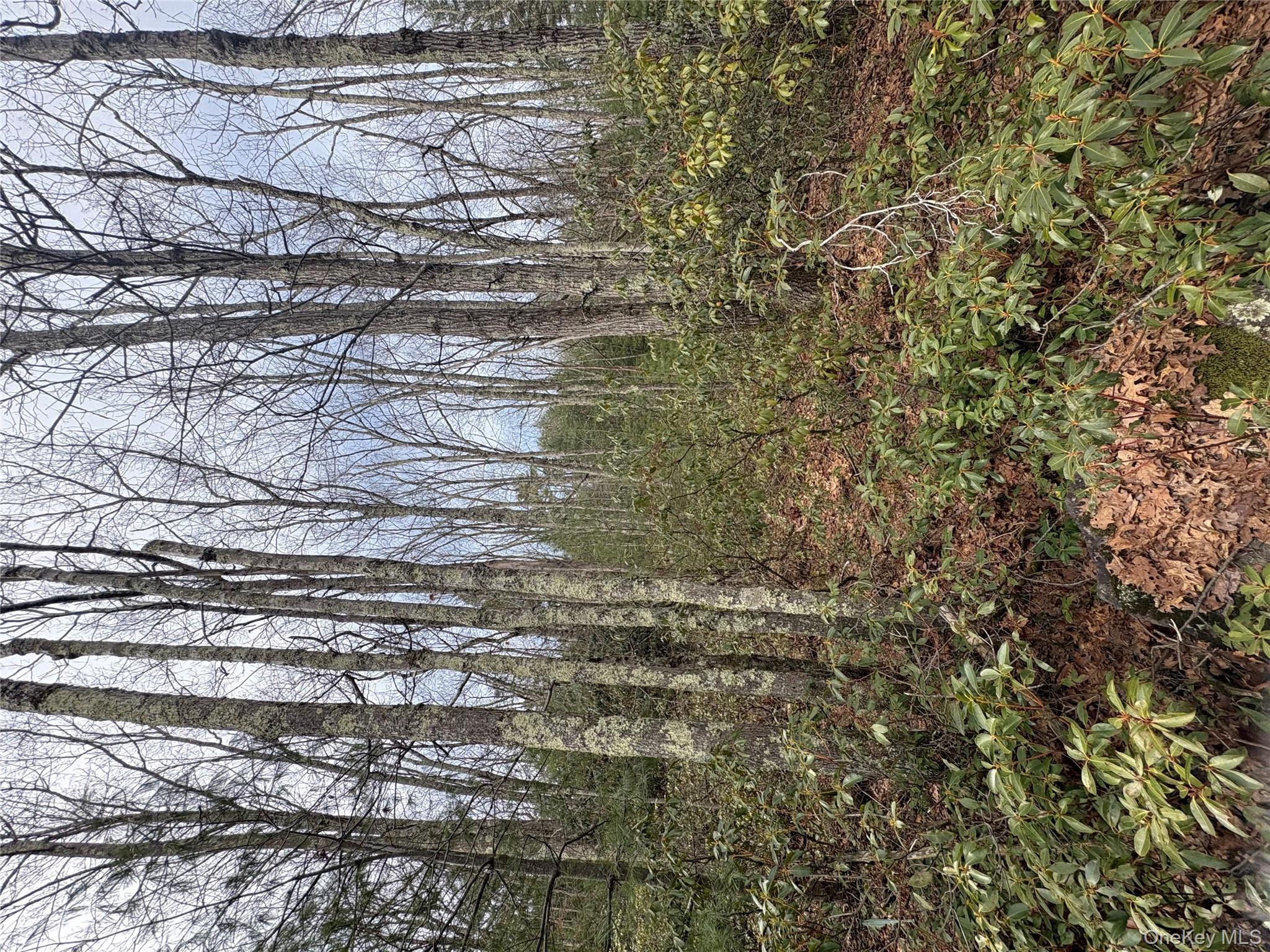 #6 photo, Bennett Road, Napanoch , NY 12458