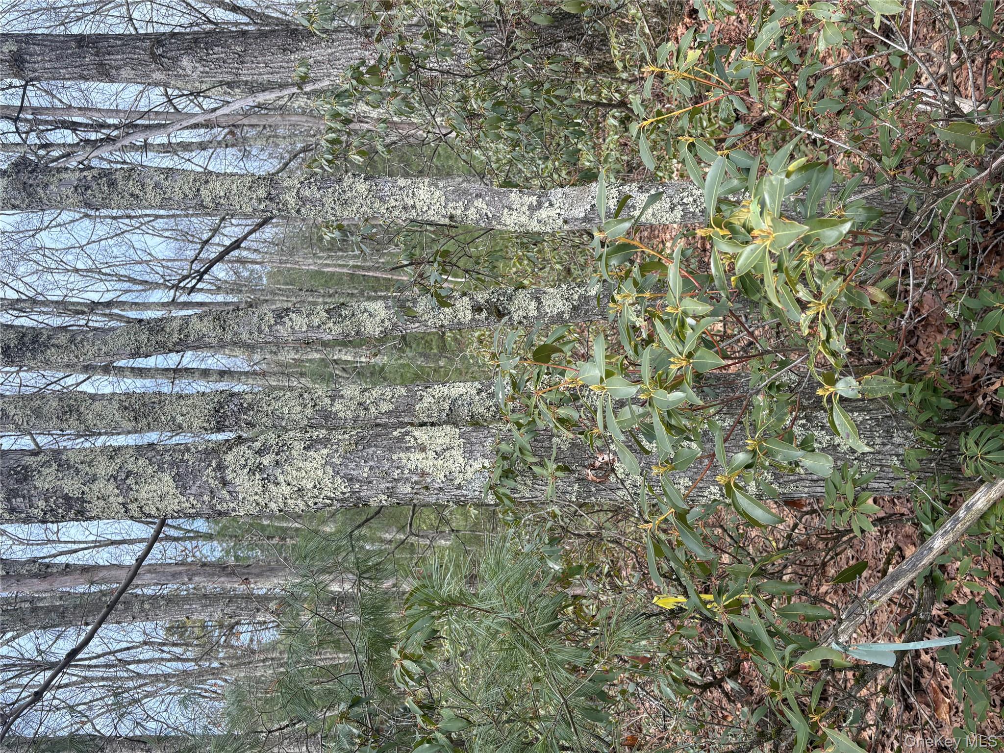 #7 photo, Bennett Road, Napanoch , NY 12458