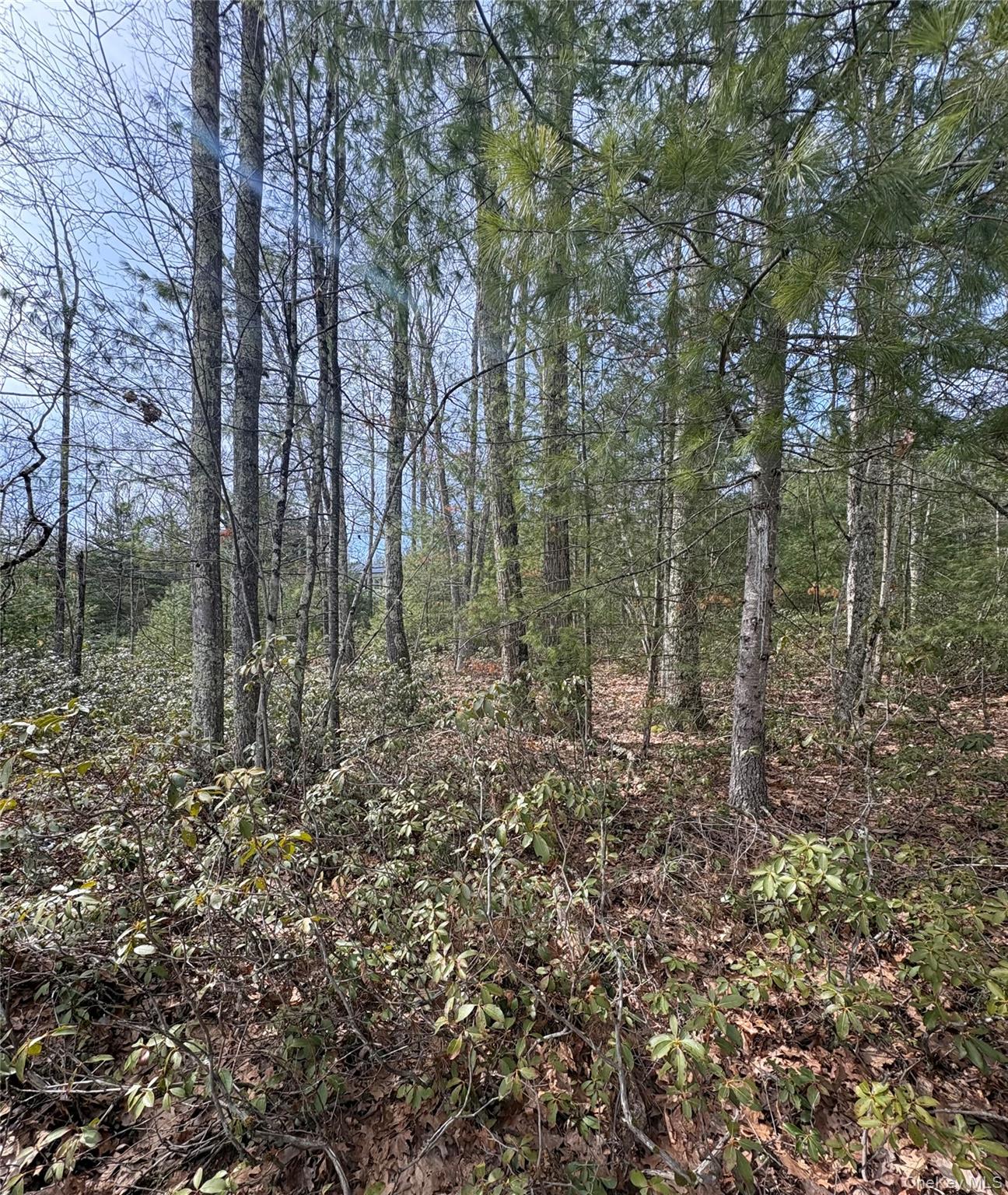 #1 photo, Bennett Road, Napanoch , NY 12458