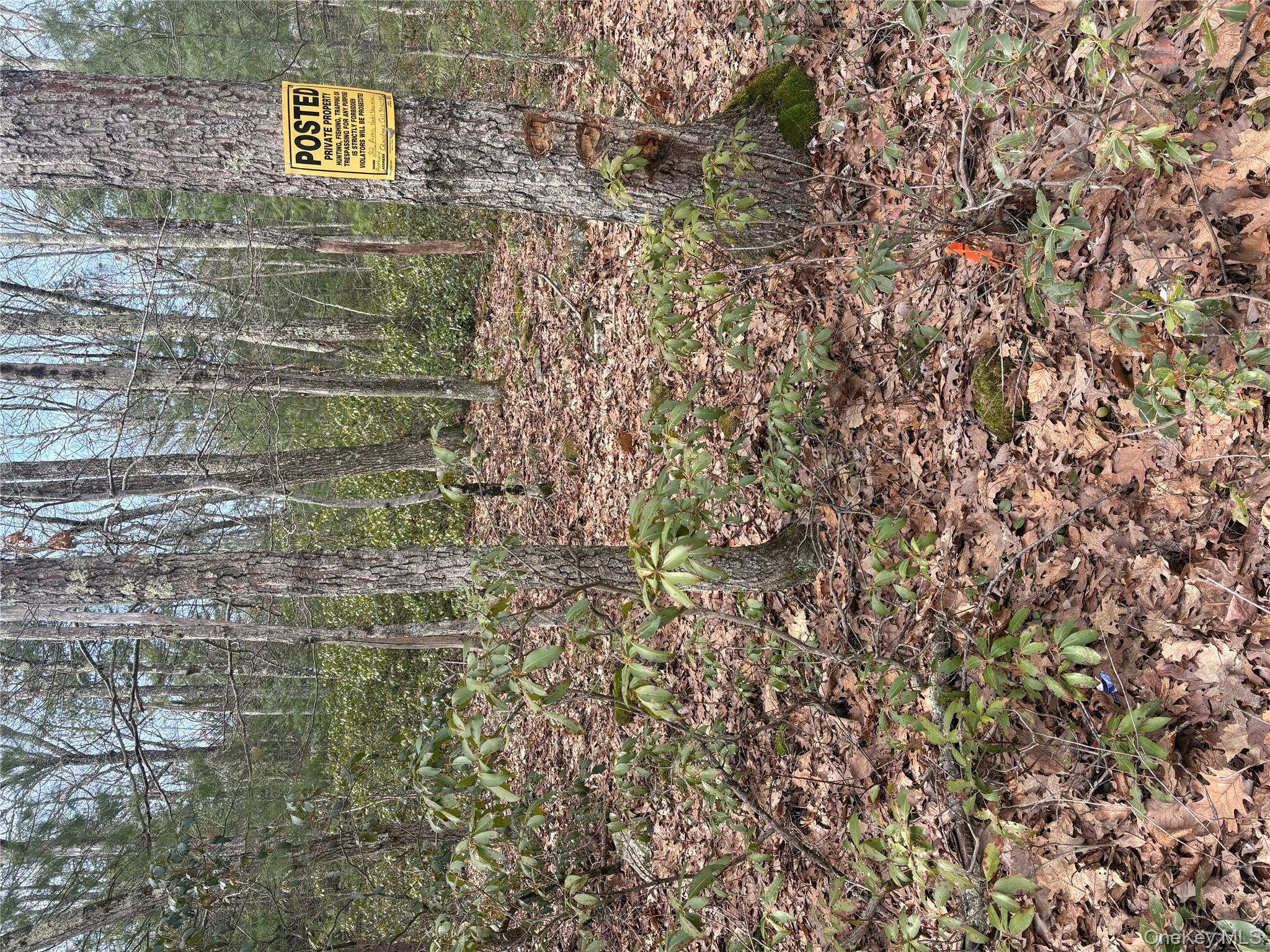 #2 photo, Bennett Road, Napanoch , NY 12458