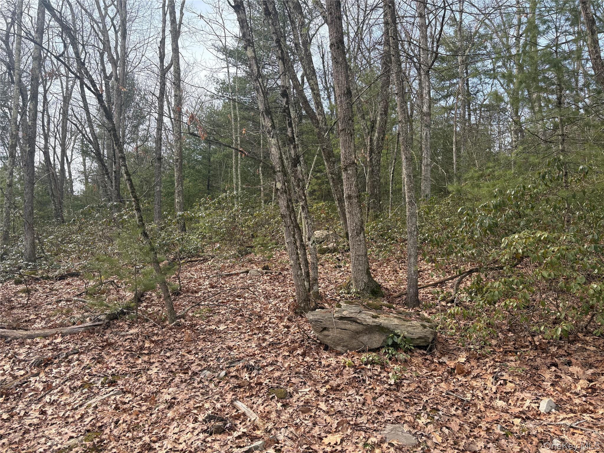 #3 photo, Bennett Road, Napanoch , NY 12458