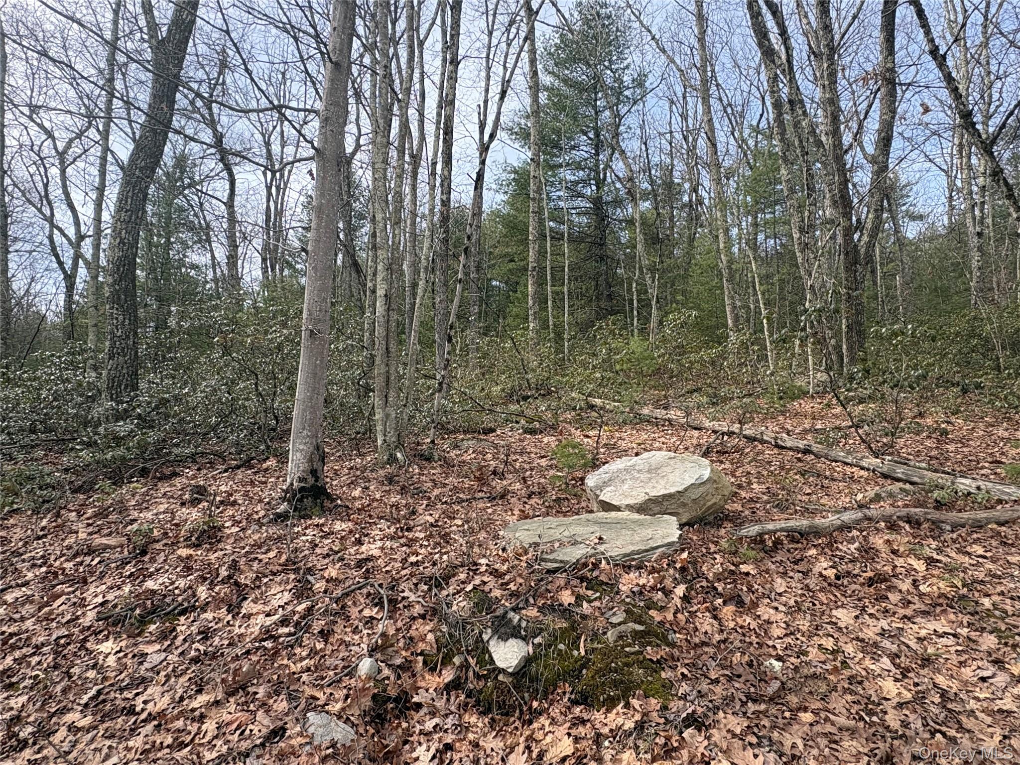 #4 photo, Bennett Road, Napanoch , NY 12458