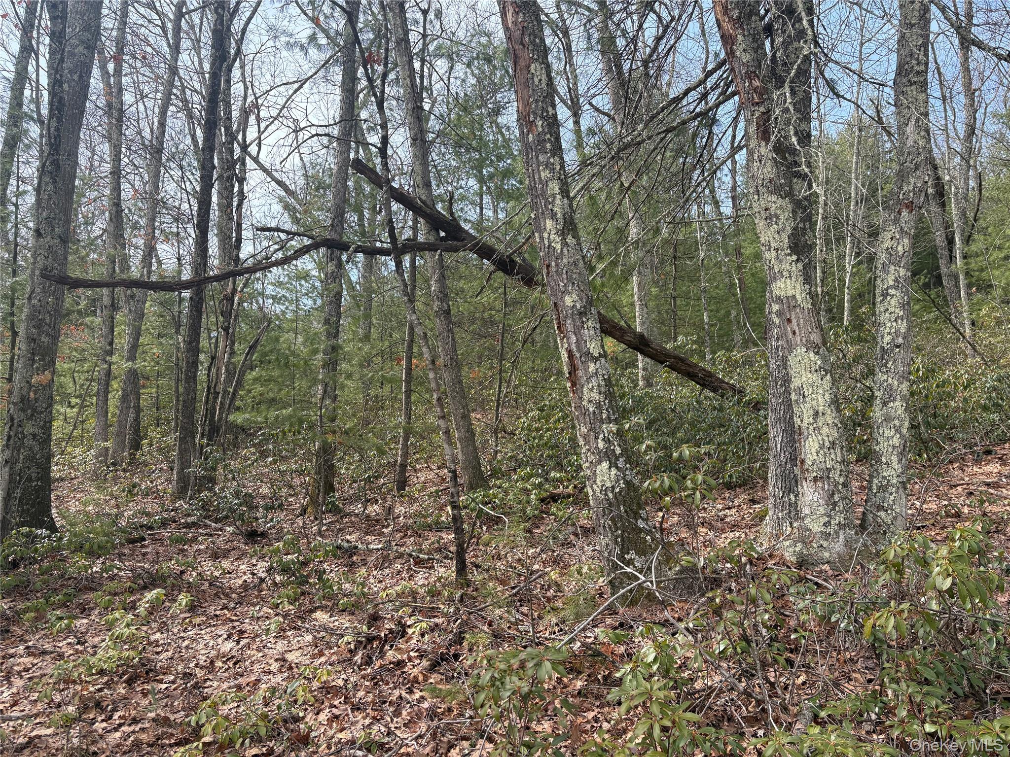 #6 photo, Bennett Road, Napanoch , NY 12458