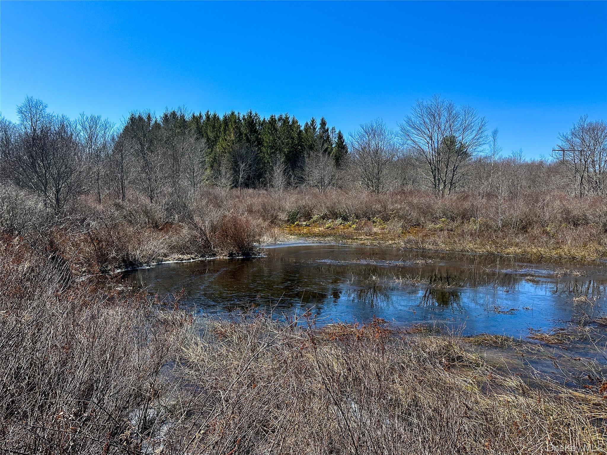 #2 photo, 381 Dutch Hill Road, Call Listing Agent , NY 12776