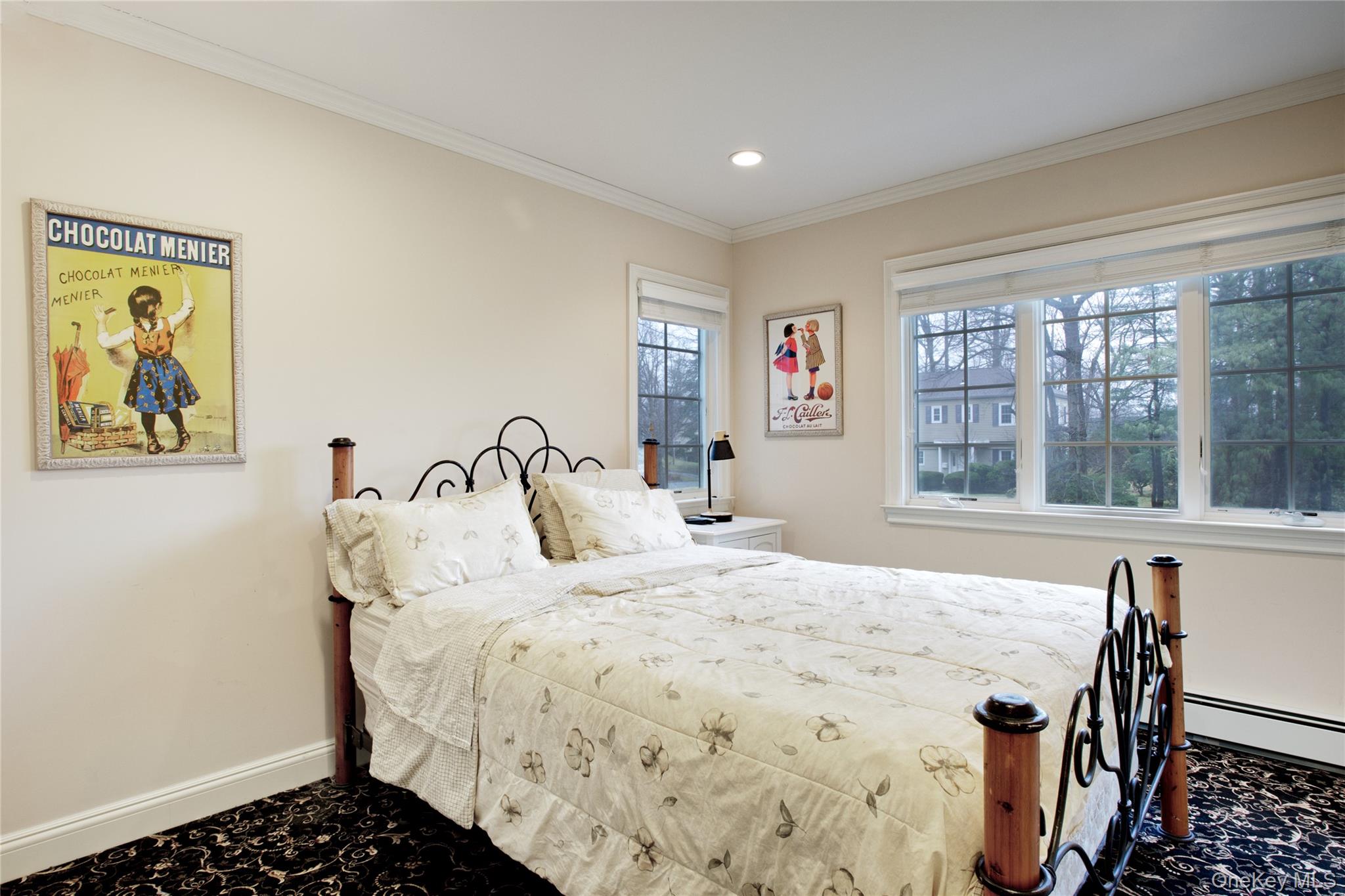 #18 photo, 330 Chestnut Drive, East Hills , NY 11576