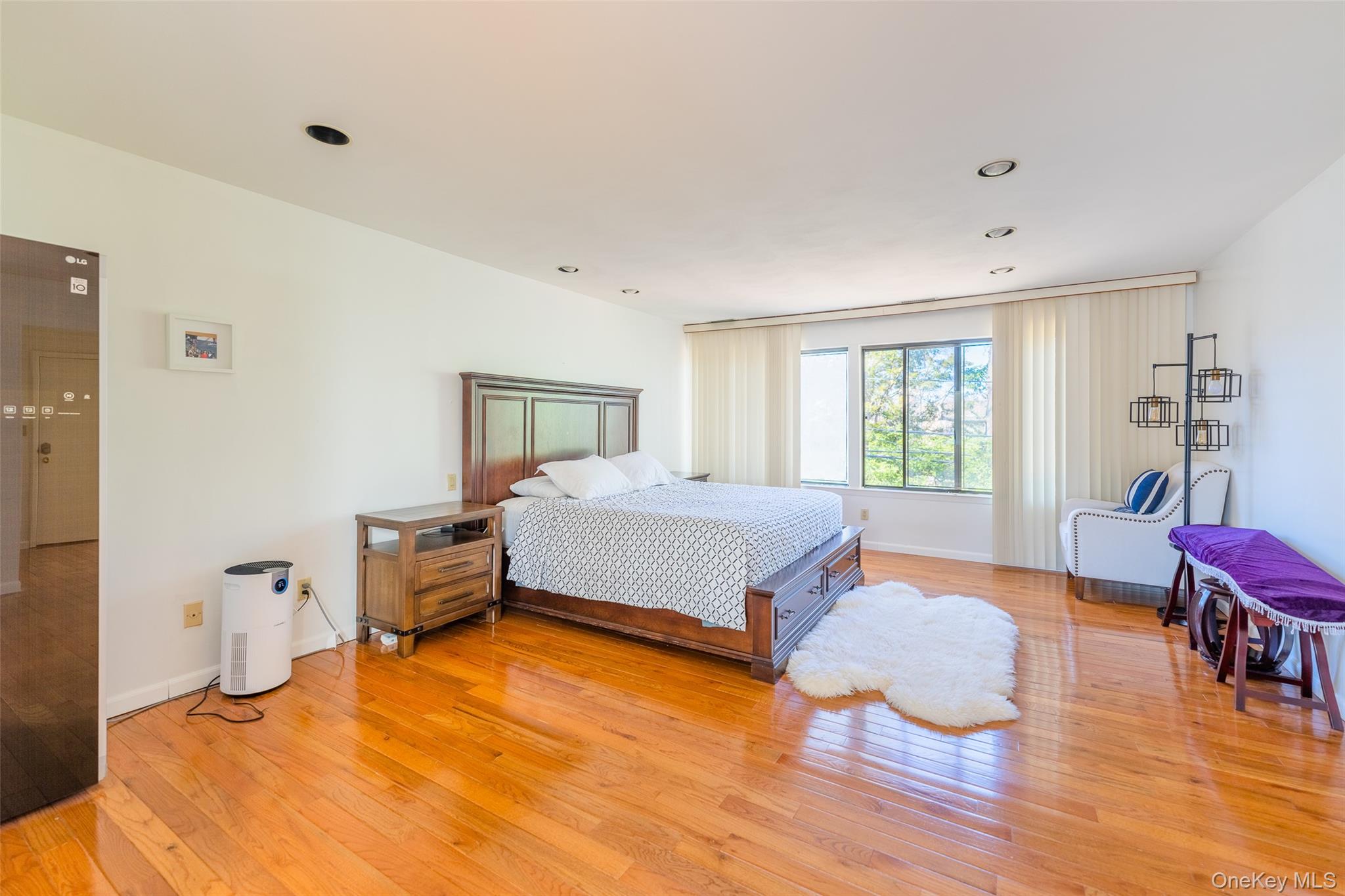 #19 photo, 17 Princeton Drive, Нассау ‖ Syosset , NY 11791