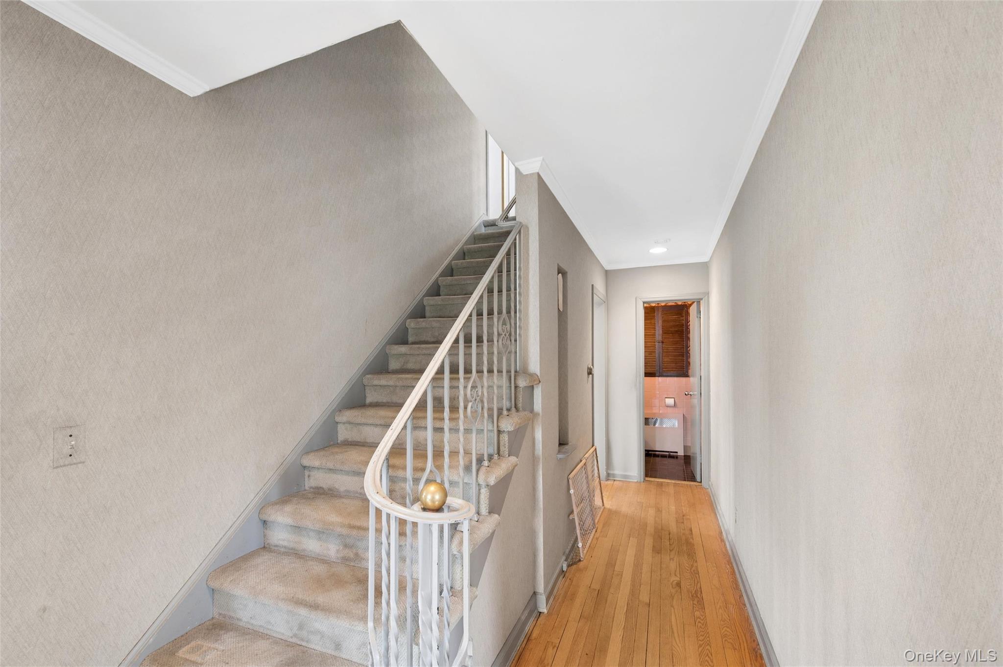 #19 photo, 24 Allen Road, 長島 Rockville Centre , NY 11570