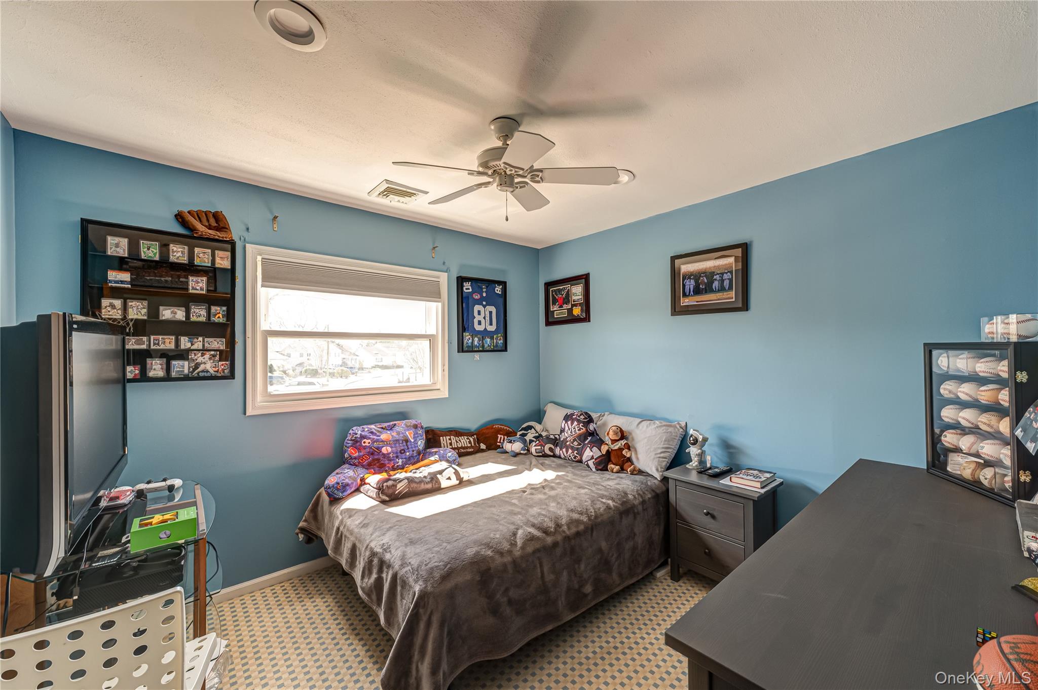 #13 photo, 35 Circle Drive, Нассау ‖ Syosset , NY 11791