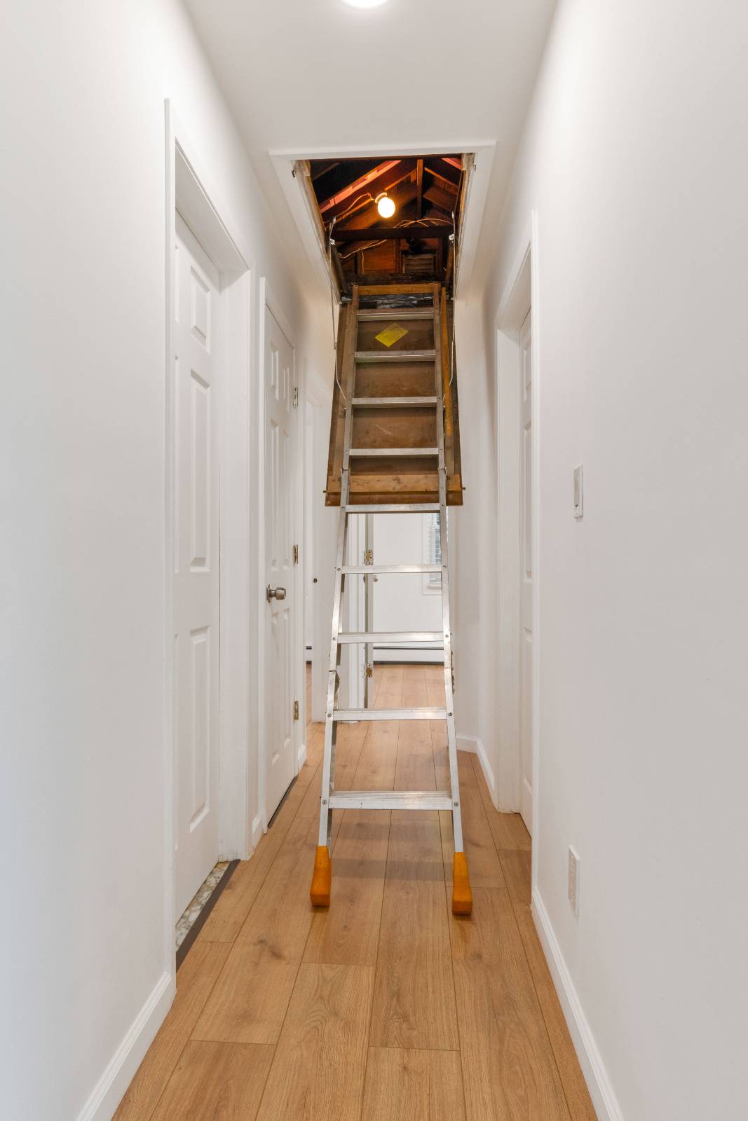 #20 photo, 40 ISLAND STREET, নাসাউ কাউন্টি Plainview , NY 11803