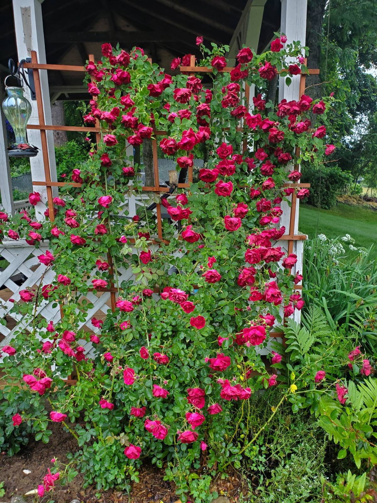 #29 photo, 51 Cook Cir, Schuylerville , NY 12831