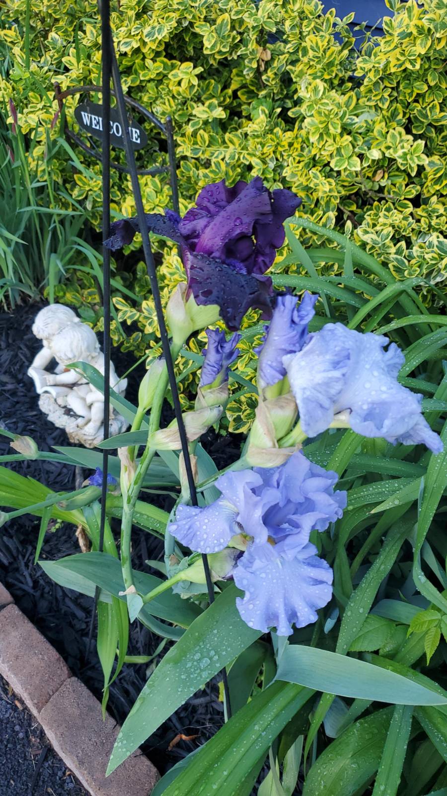 #31 photo, 51 Cook Cir, Schuylerville , NY 12831