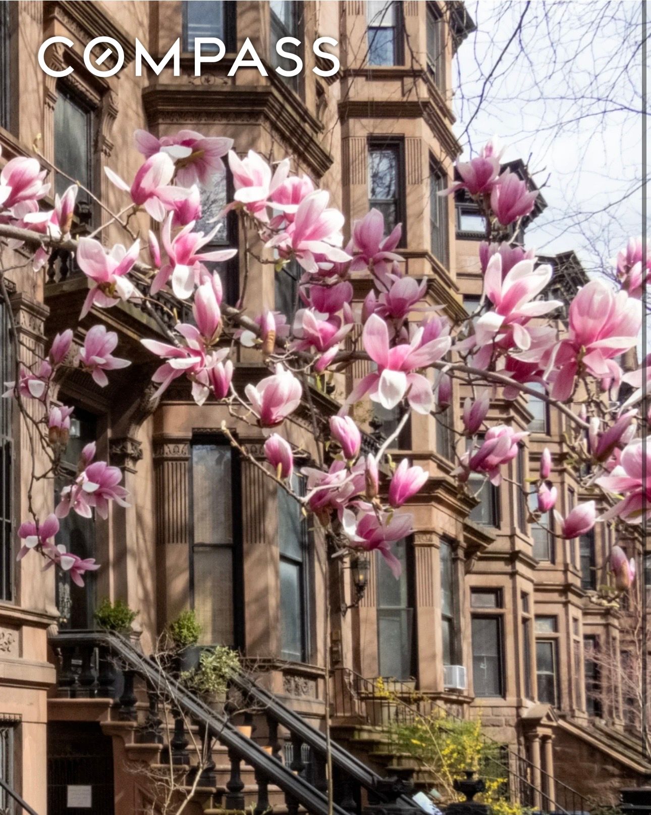 #17 photo, 680 Carroll Street, 布鲁克林 公园斜坡 Park Slope , NY 11215