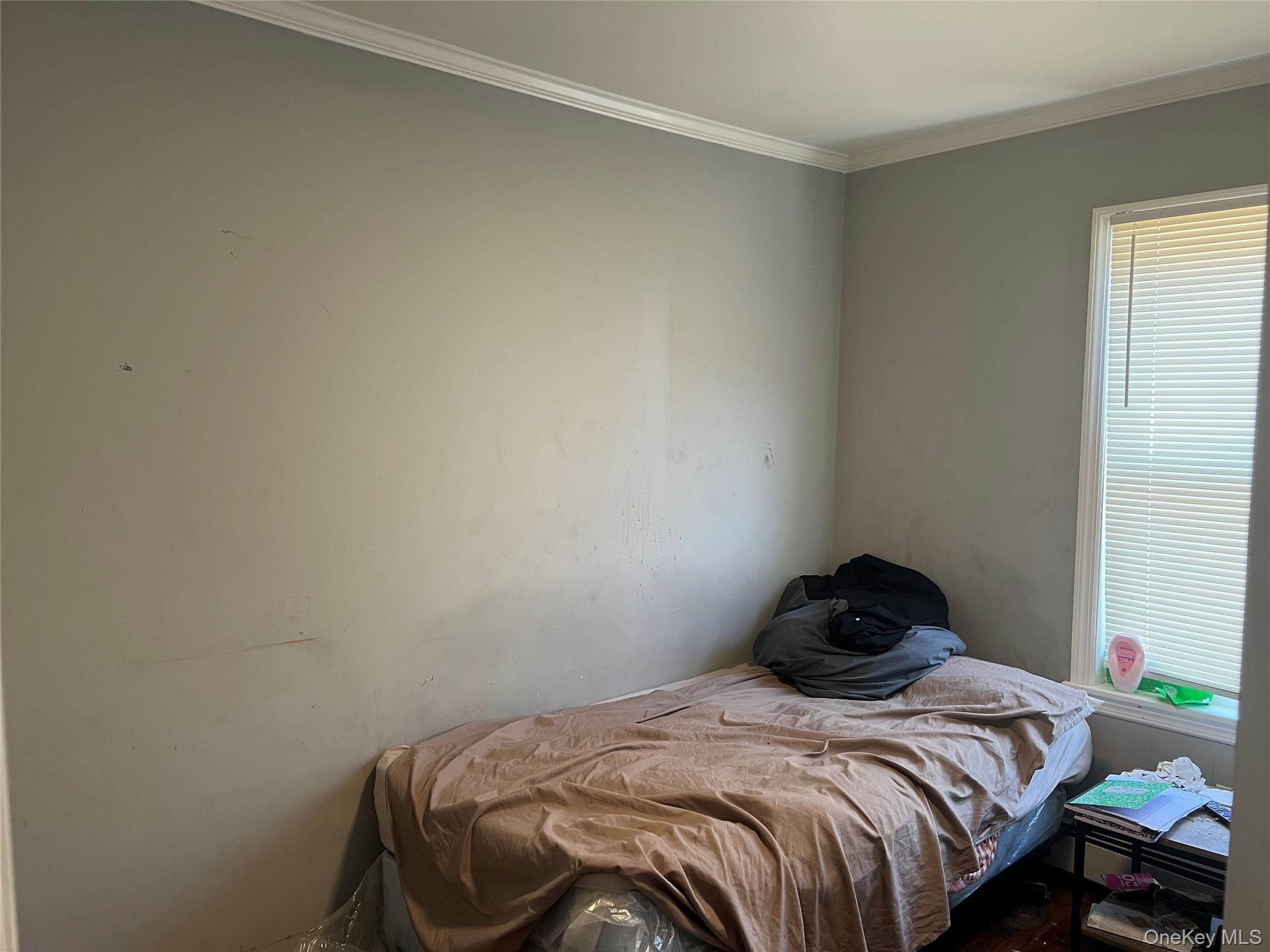 #6 photo, 36 Casino Street, नासाउ काउंटी Freeport , NY 11520