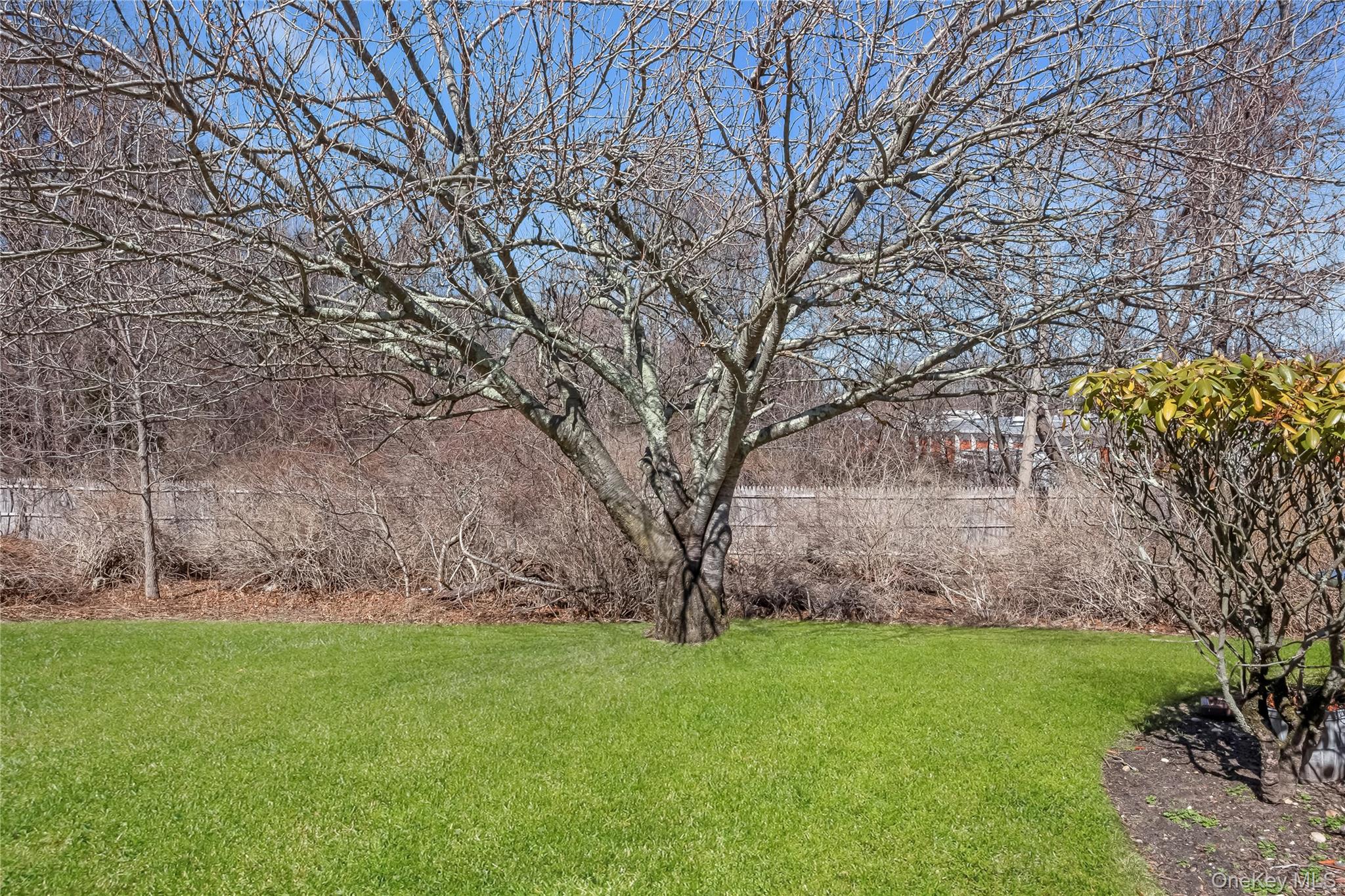 #17 photo, 45 Theodore Drive, 東長島 Coram , NY 11727