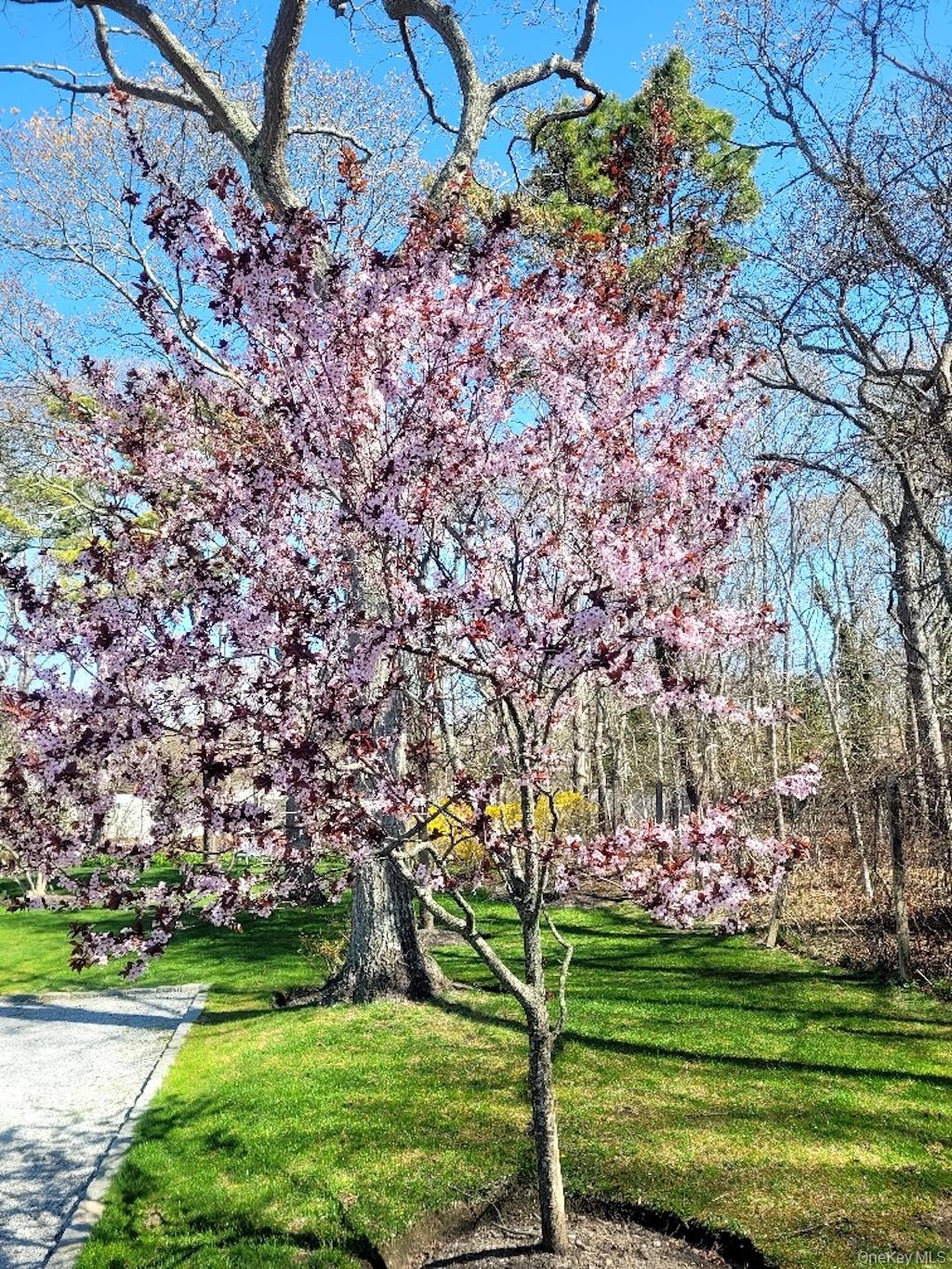 #18 photo, 23 N Westbury Road, מחוז סאפוק Hampton Bays , NY 11946