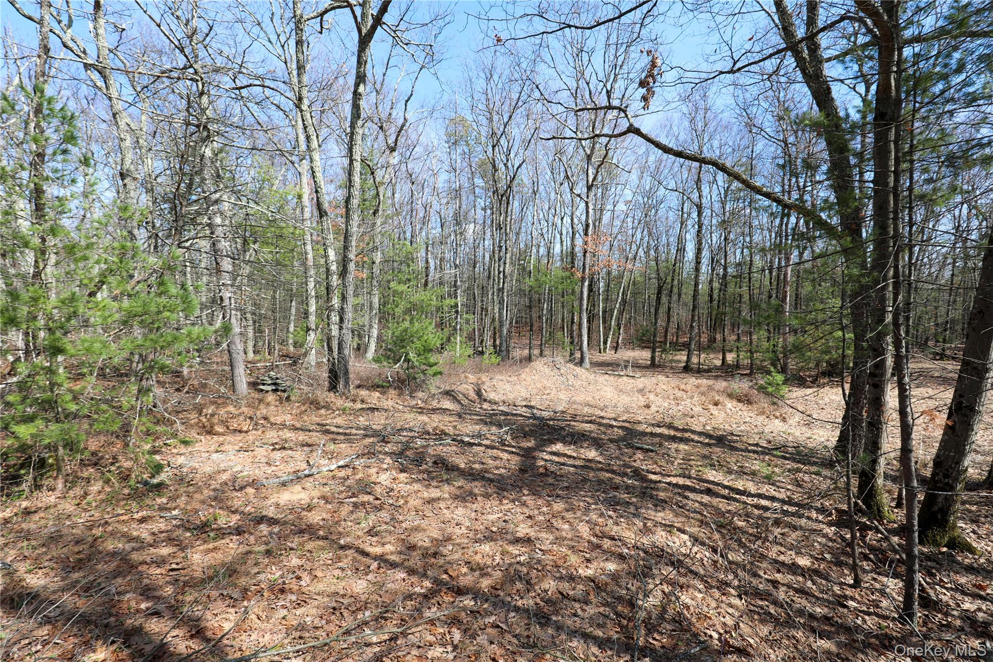 #6 photo, 1060 Route 28, Kingston , NY 12401