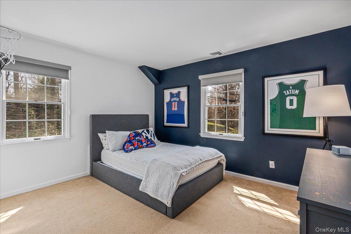 #15 photo, 350 Dogwood Lane, 長島 曼哈塞特 Manhasset , NY 11030