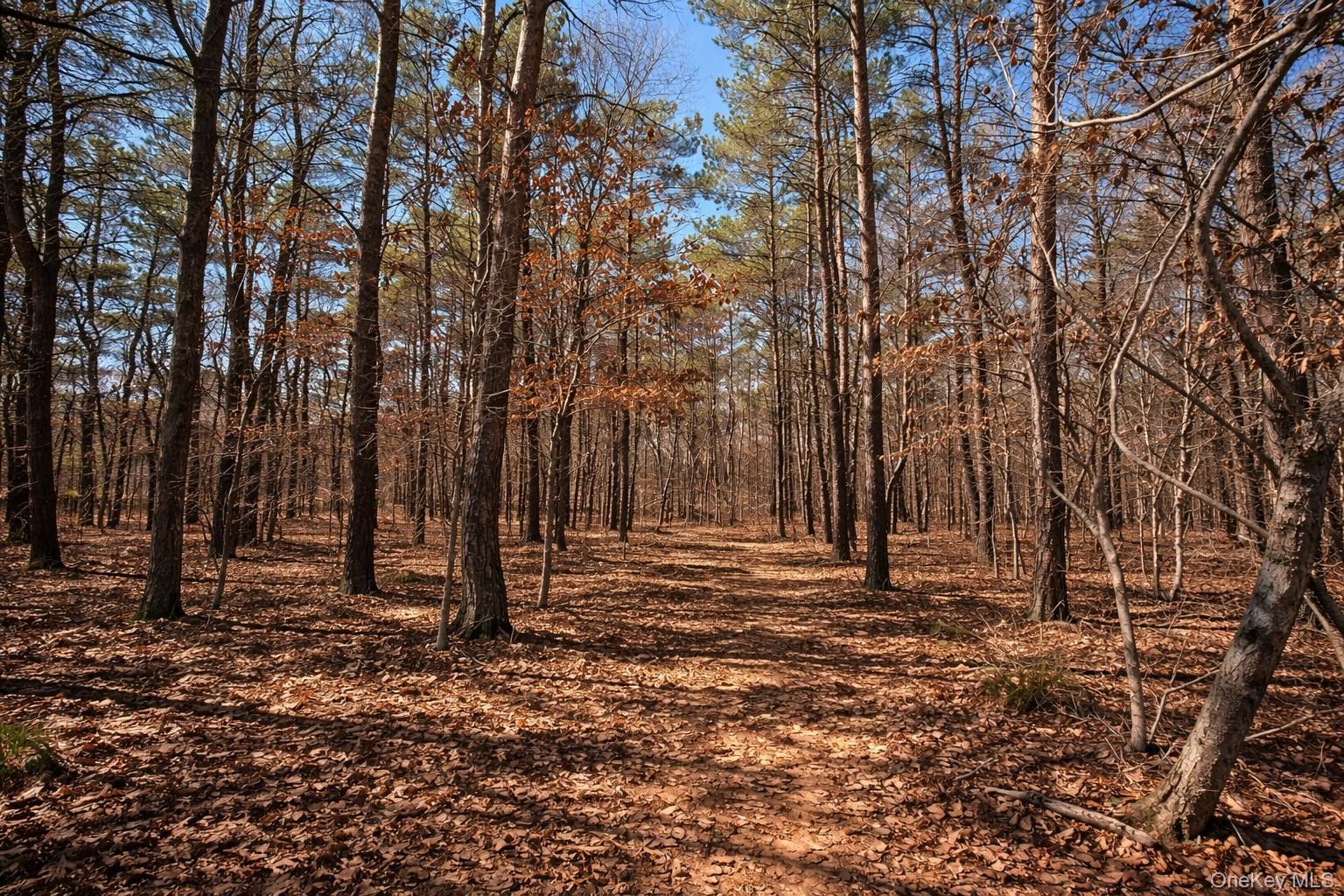 #20 photo, 4 Mews Court, 东长岛 Holtsville , NY 11742