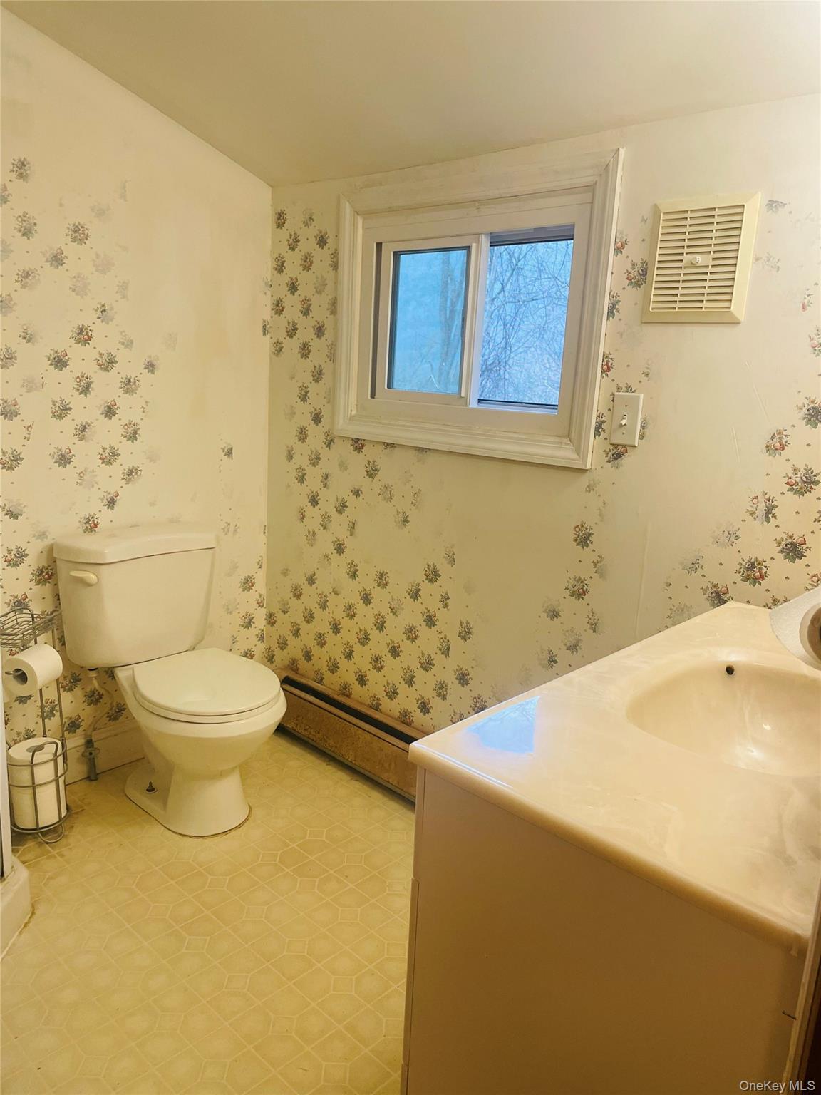 #14 photo, 18 E Clifford Street, 뉴욕주 Ellenville , NY 12428