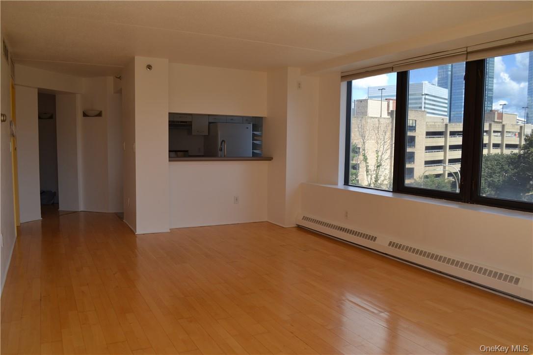 #8 photo, 4 Martine Avenue, White Plains , NY 10606