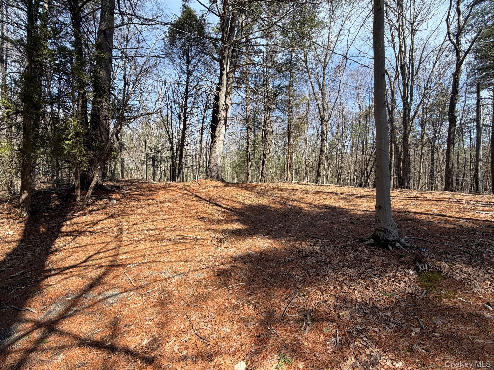 #2 photo, 42 Yorkville Park Road, Bloomingburg , NY 12721