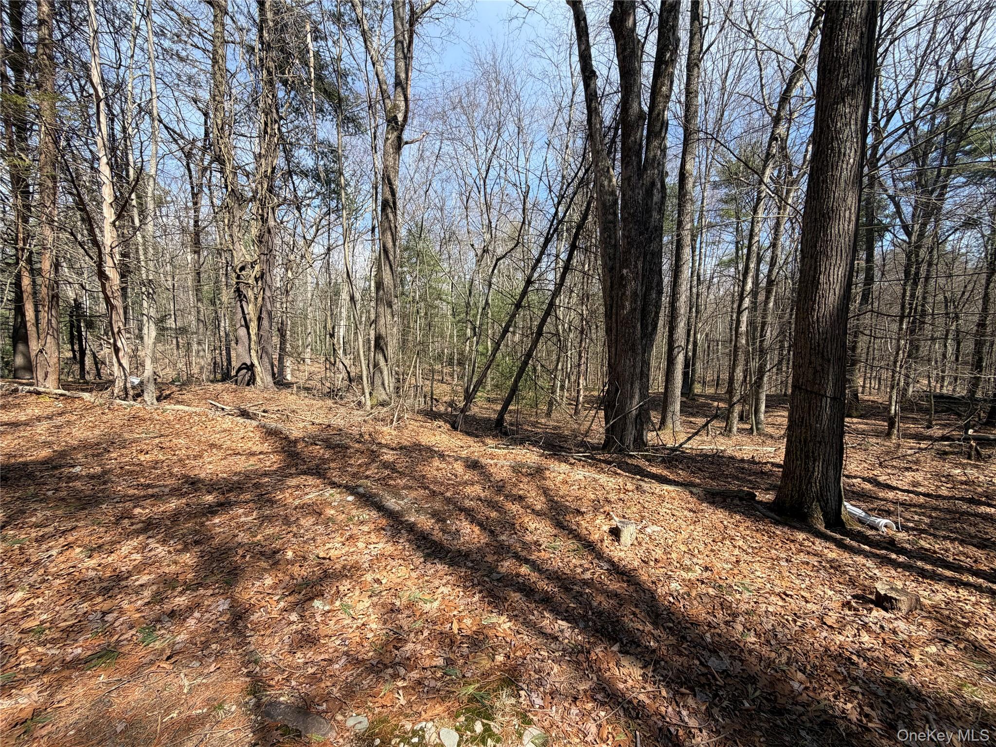 #4 photo, 42 Yorkville Park Road, Bloomingburg , NY 12721