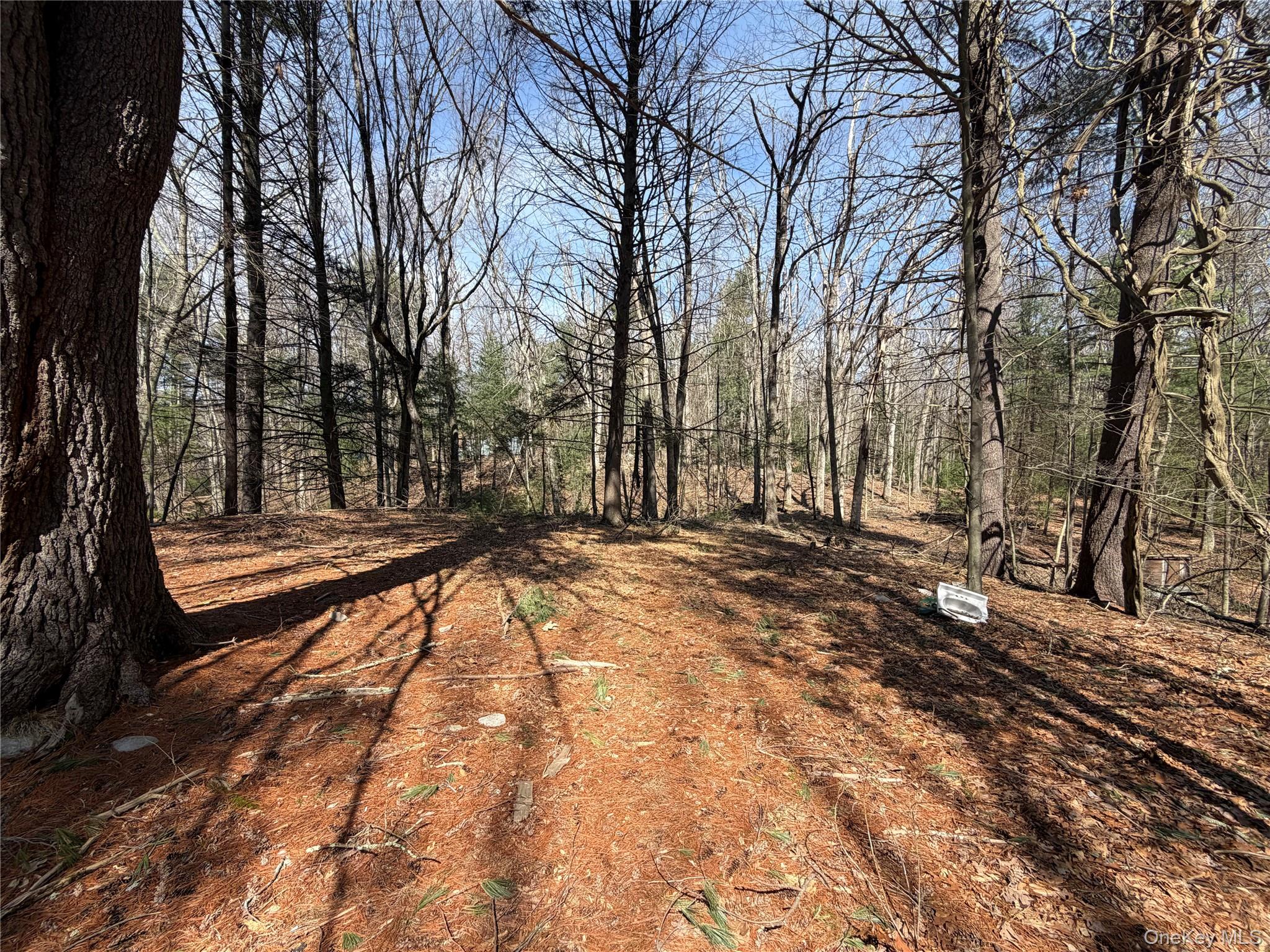 #5 photo, 42 Yorkville Park Road, Bloomingburg , NY 12721