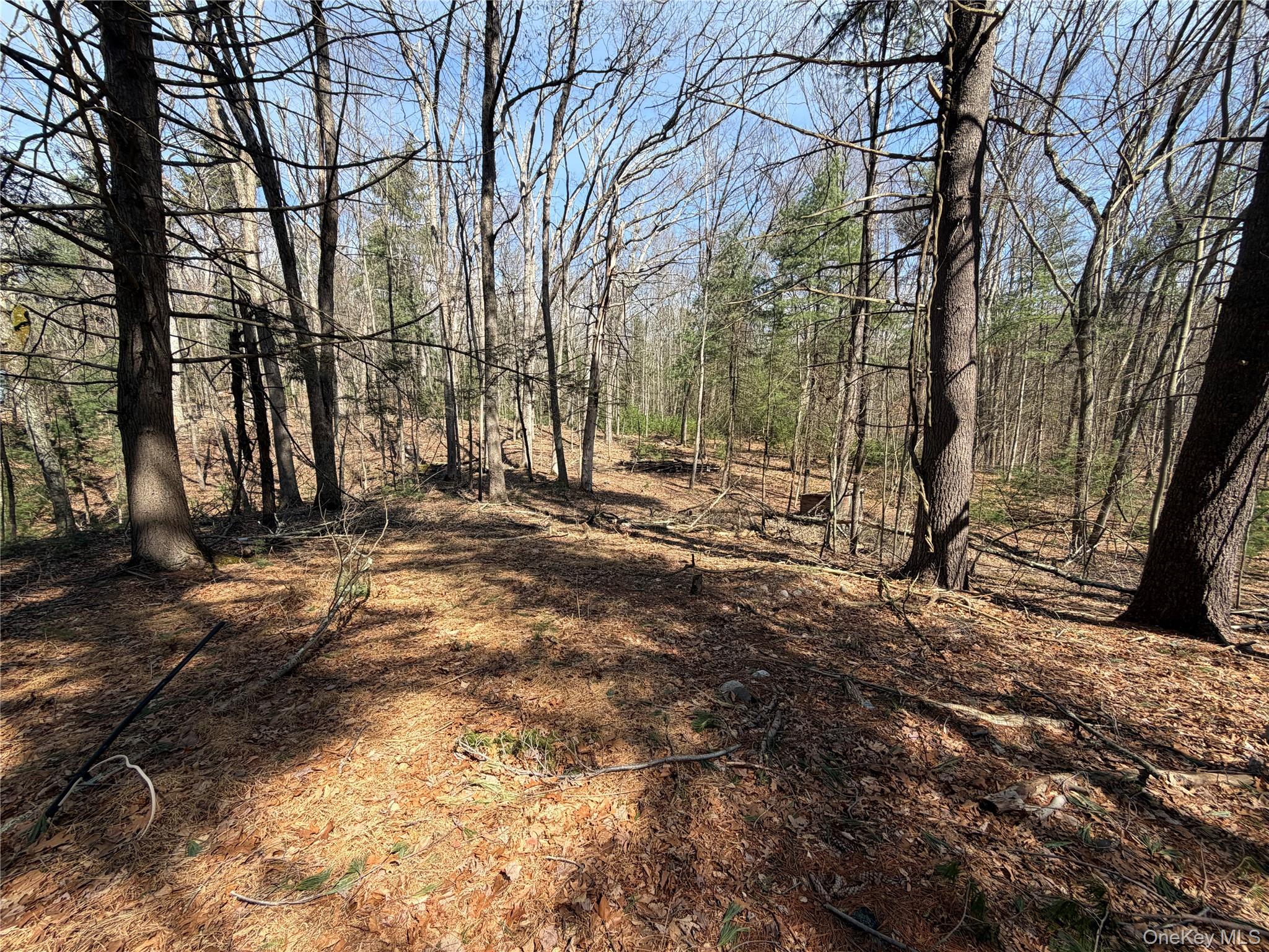 #6 photo, 42 Yorkville Park Road, Bloomingburg , NY 12721