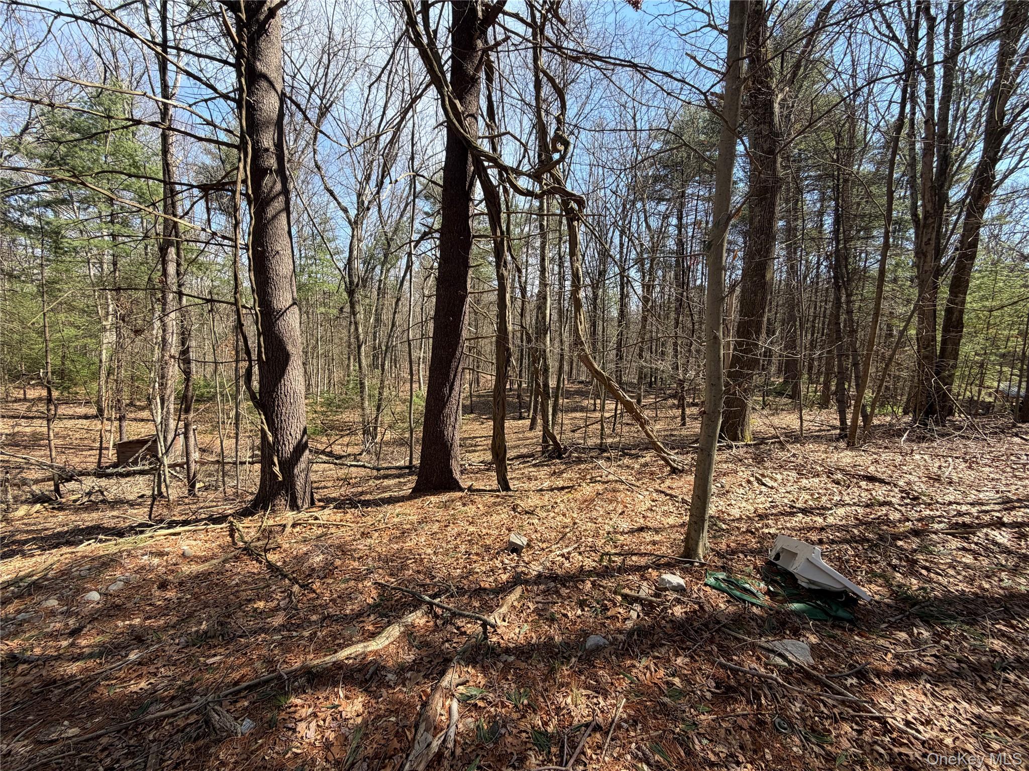 #7 photo, 42 Yorkville Park Road, Bloomingburg , NY 12721