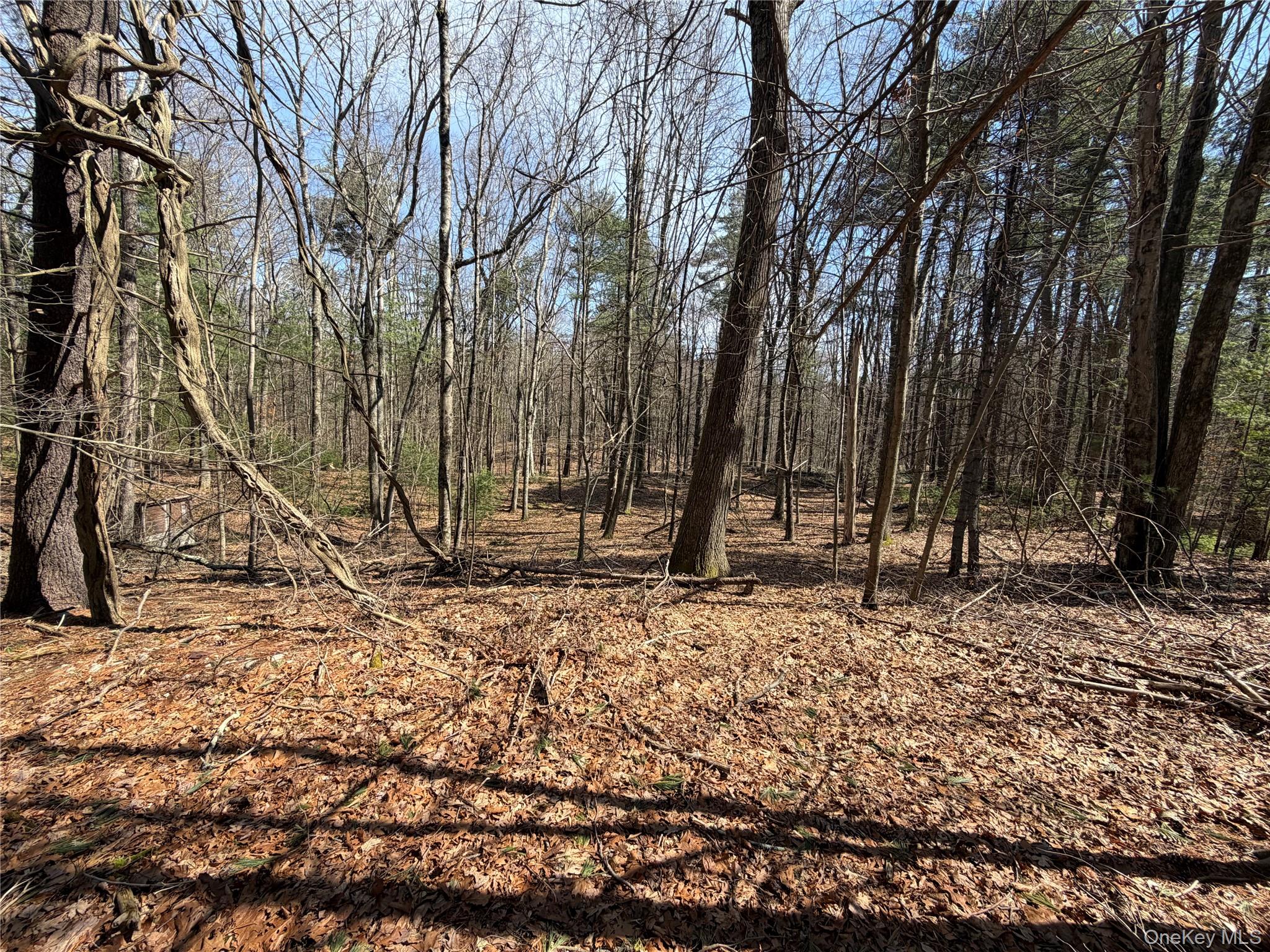 #8 photo, 42 Yorkville Park Road, Bloomingburg , NY 12721