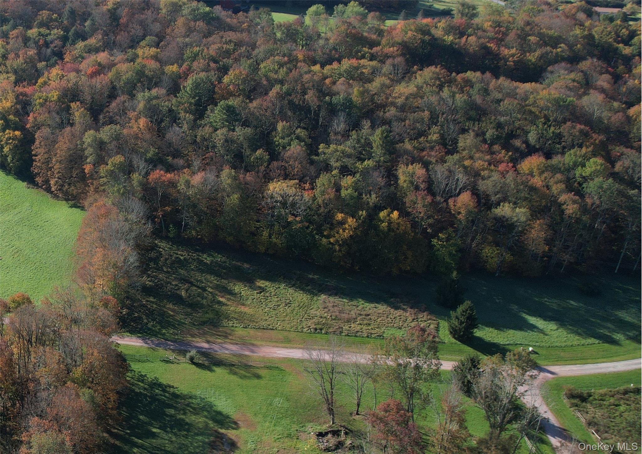 #1 photo, Lot 10 Timber Drive Road, Cochecton , NY 12726